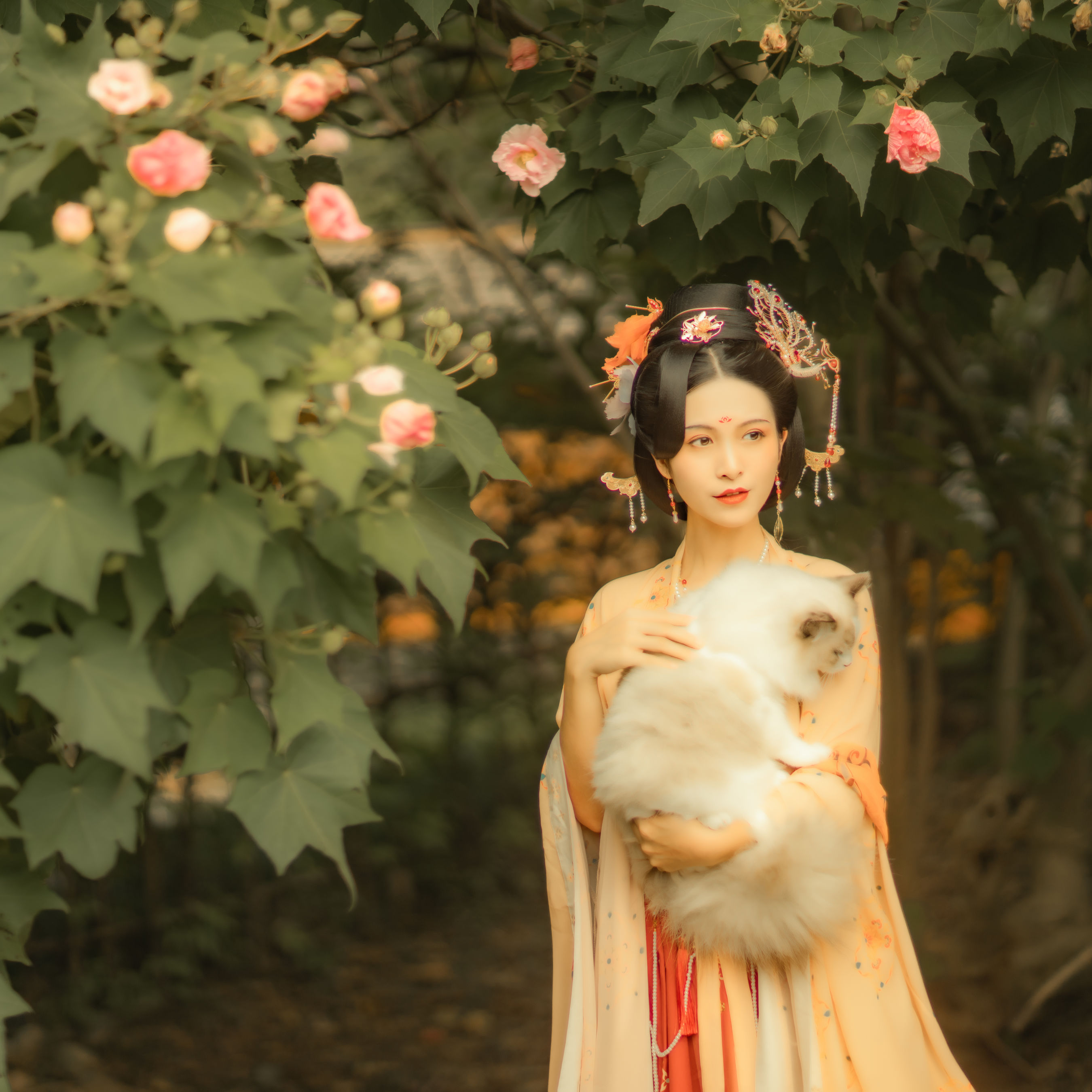 修水凝花 – 《芙蓉词》[38P]