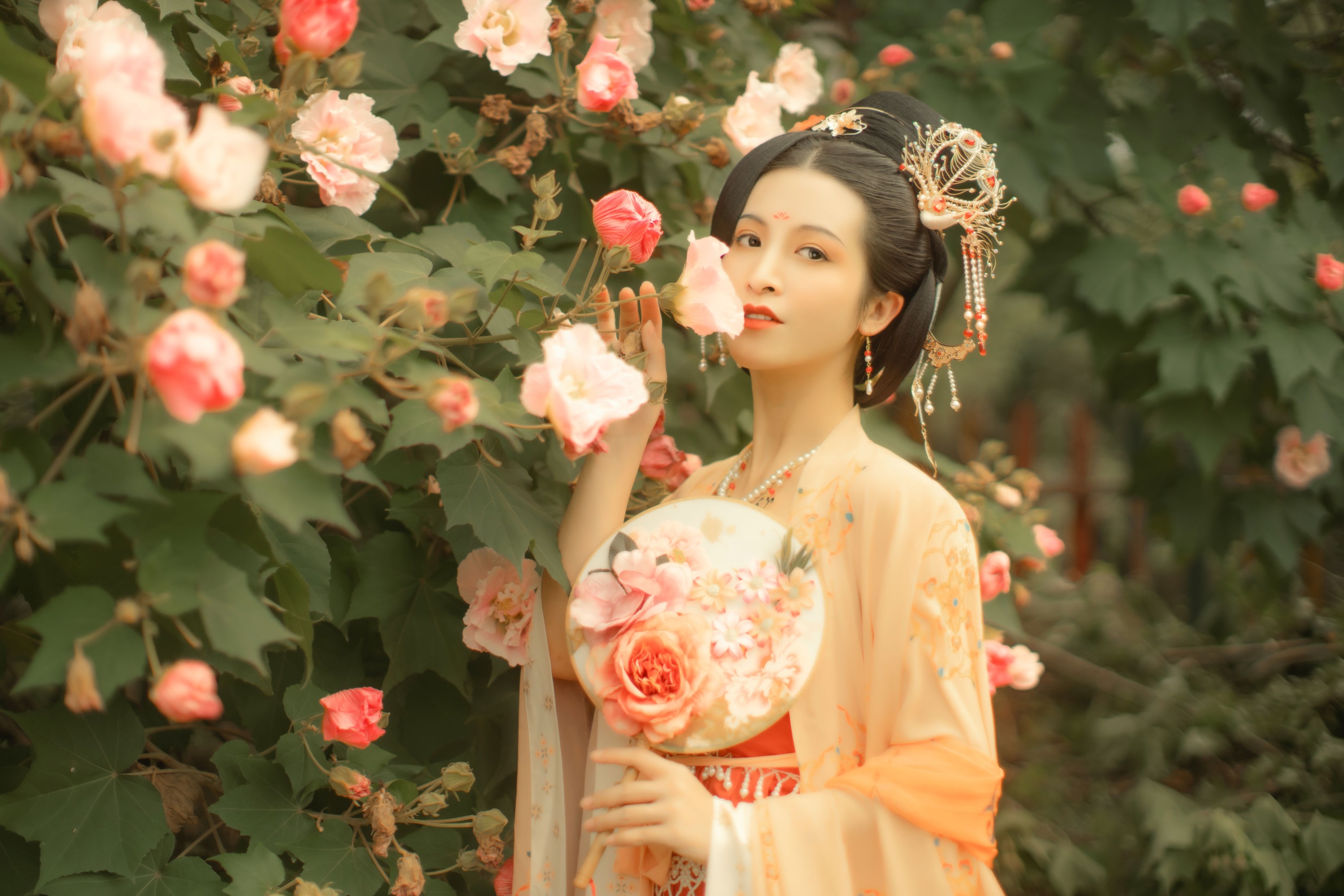 修水凝花 – 《芙蓉词》[38P]
