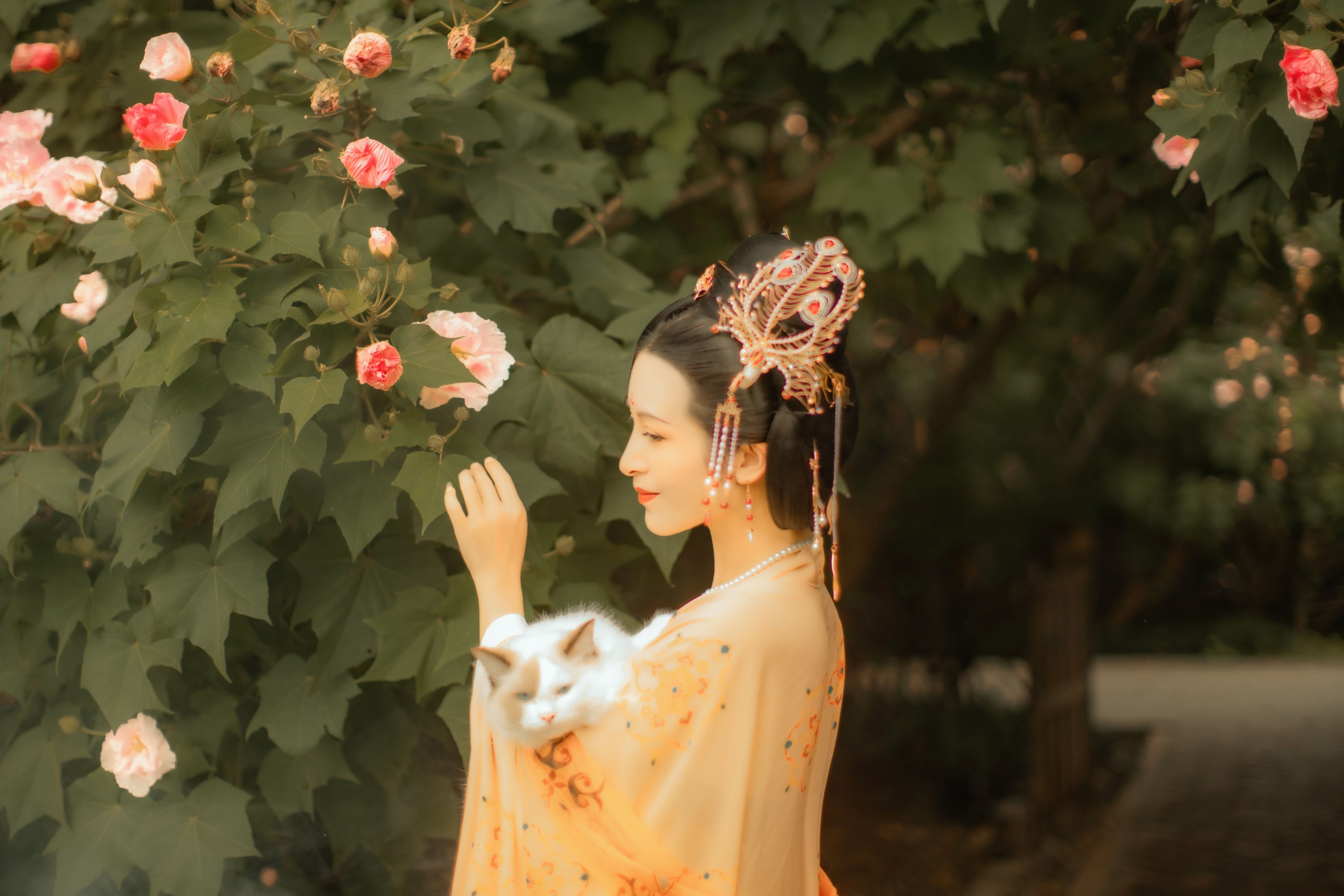 修水凝花 – 《芙蓉词》[38P]