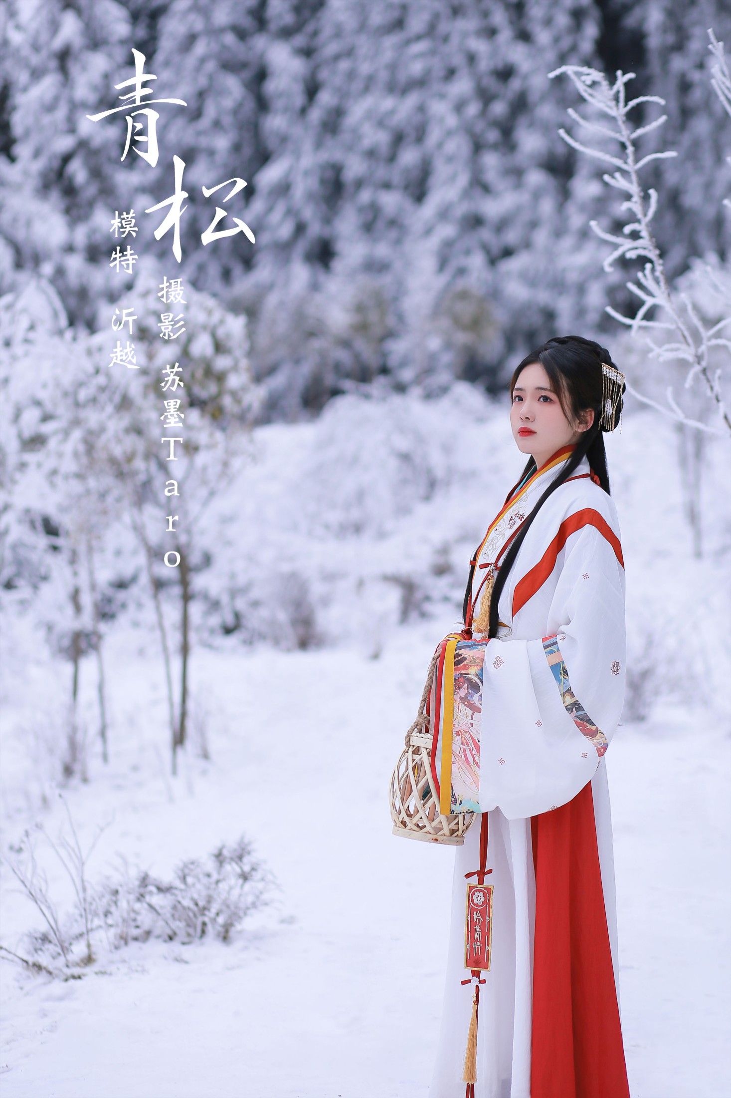 青松