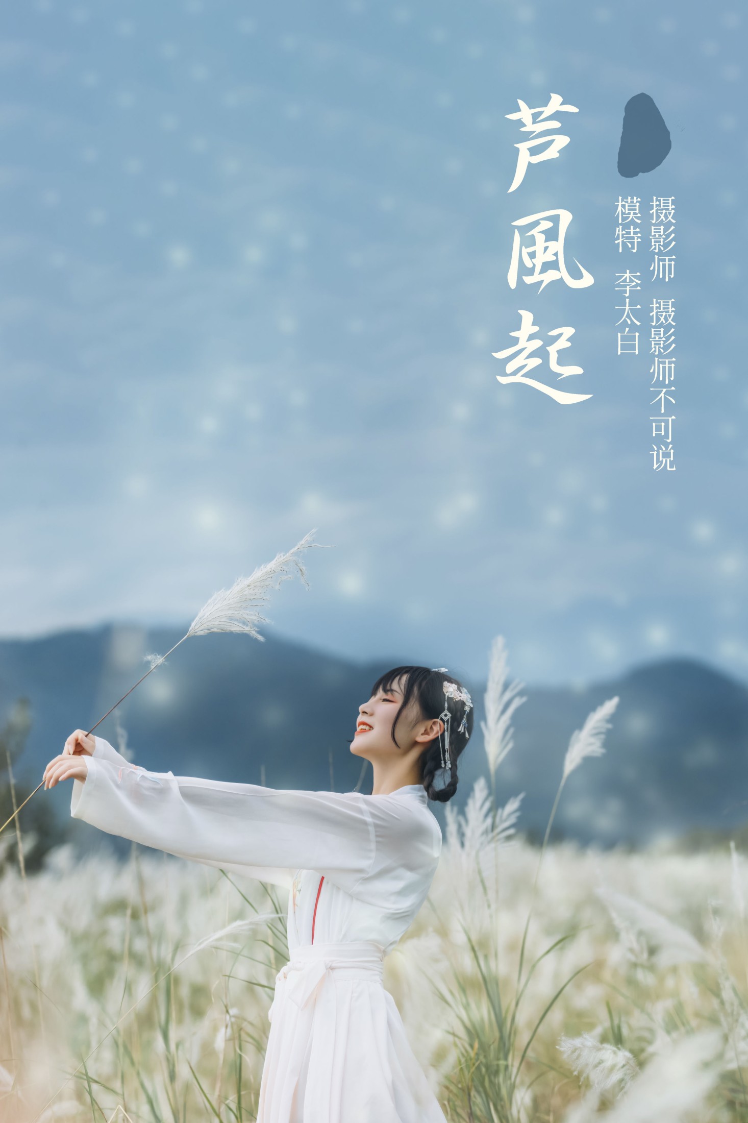 芦风起