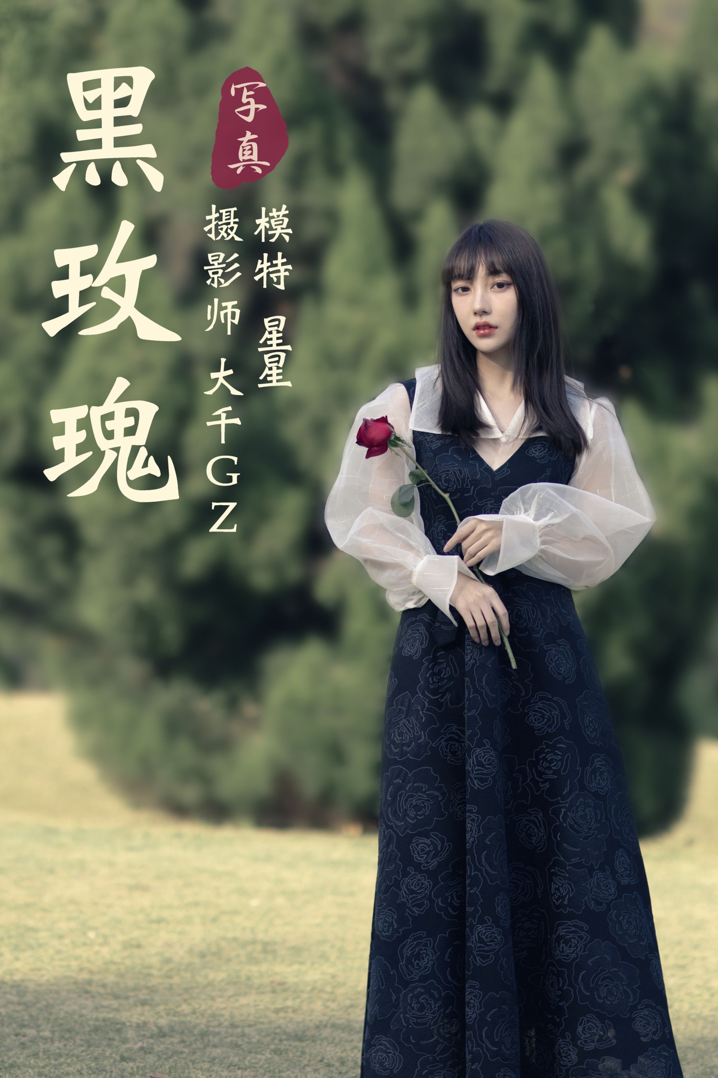 黑玫瑰
