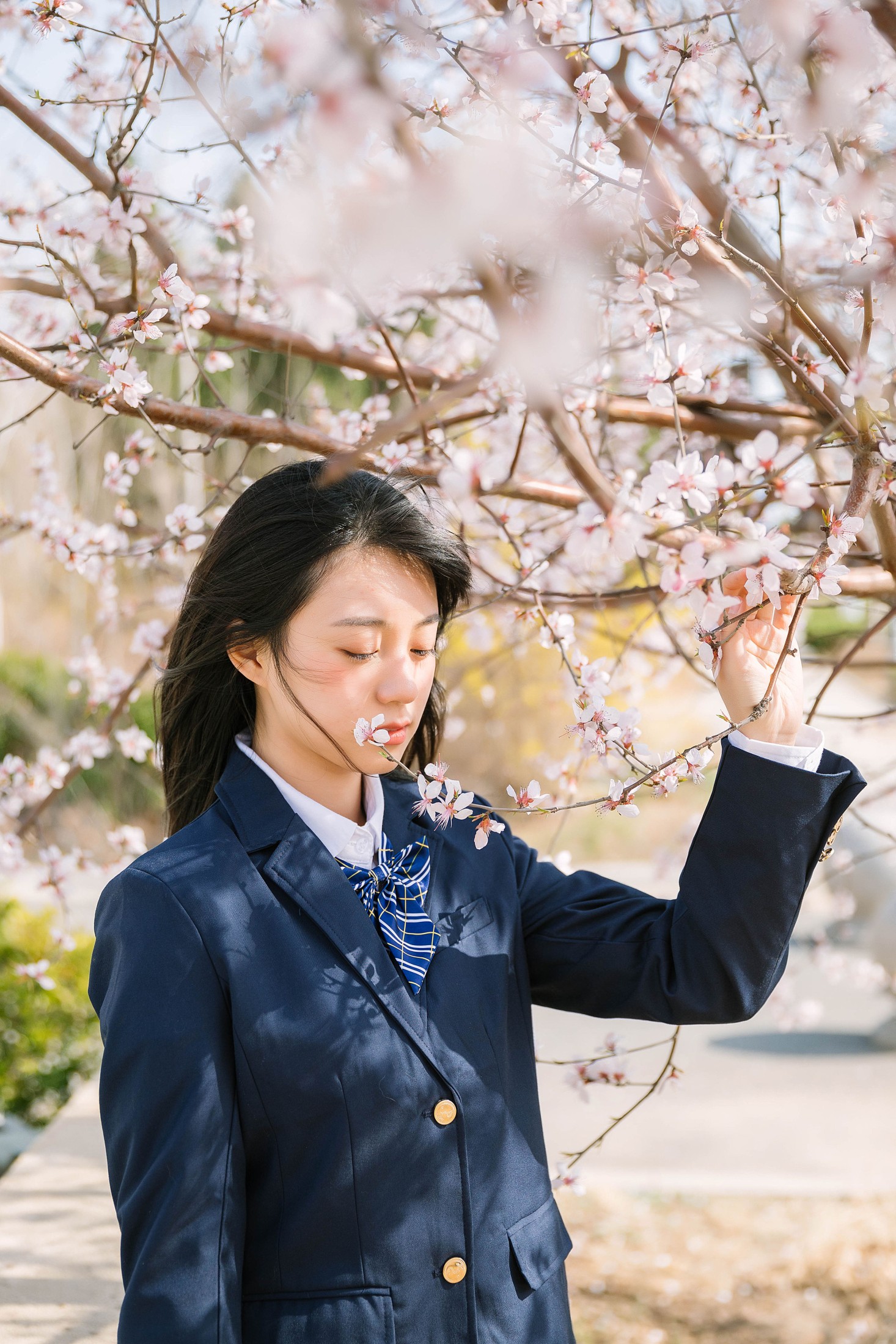 阳羊得意- – 《花季少女》[33P]