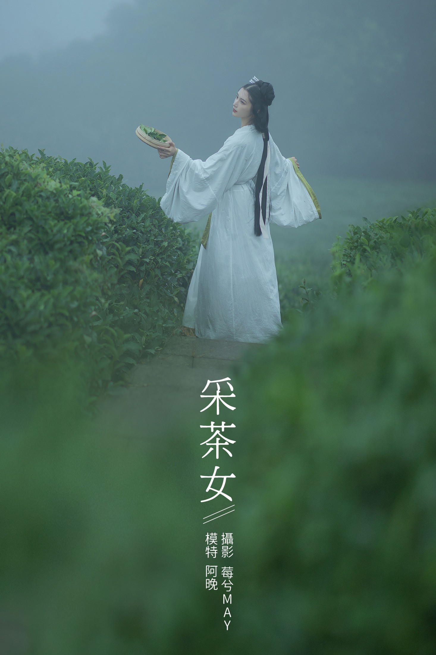 采茶女