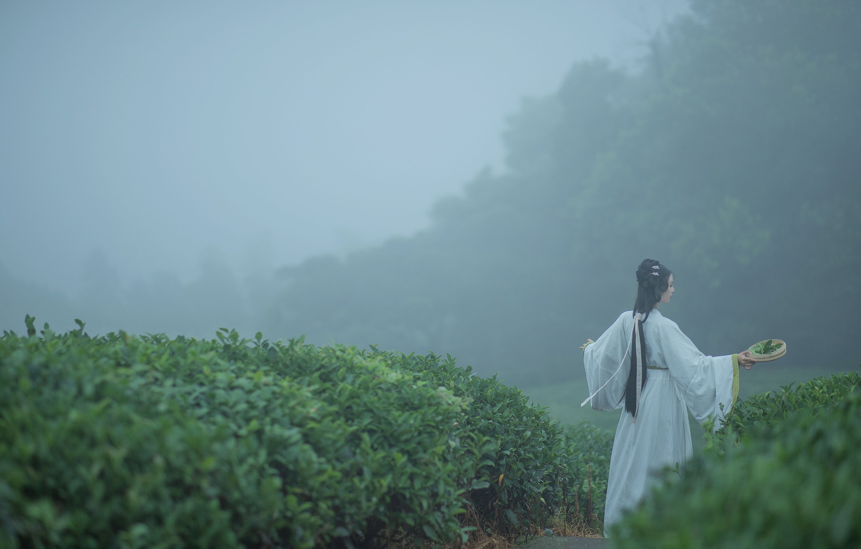 十八重川 – 《采茶女》[20P]