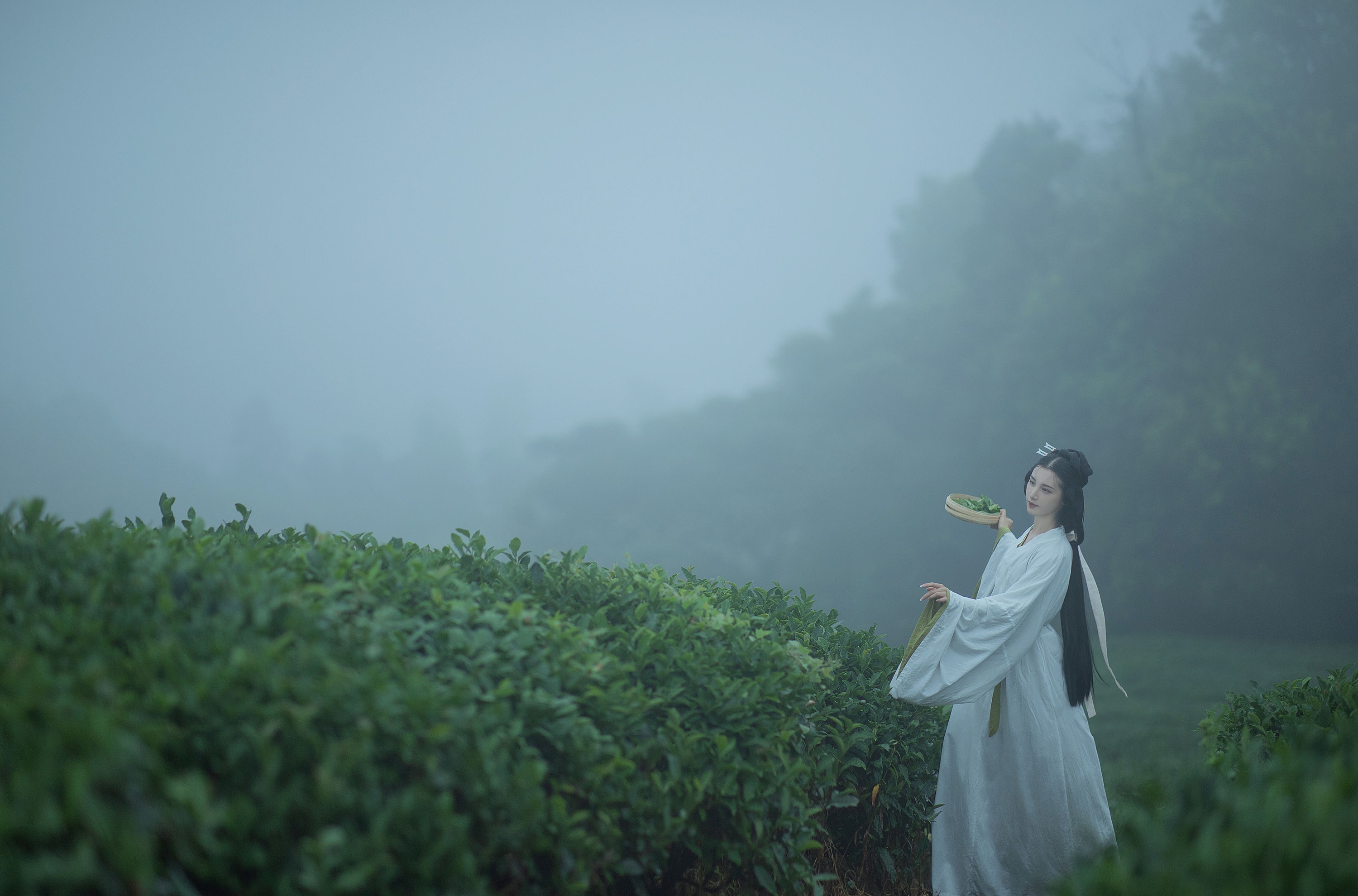 十八重川 – 《采茶女》[20P]