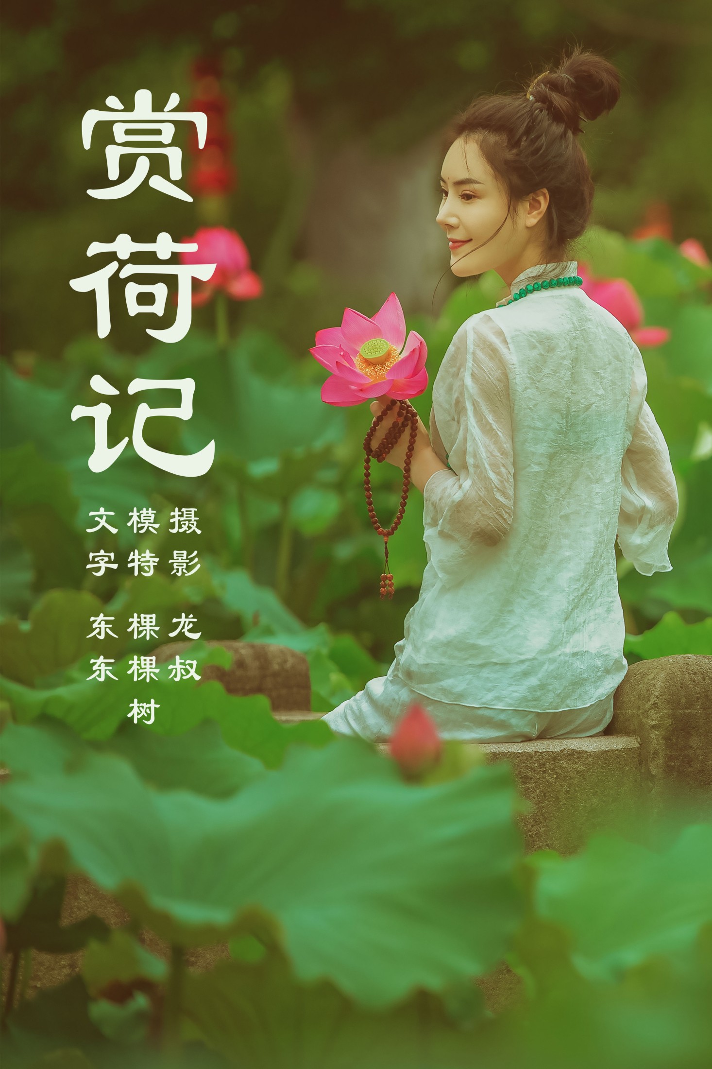 赏荷记