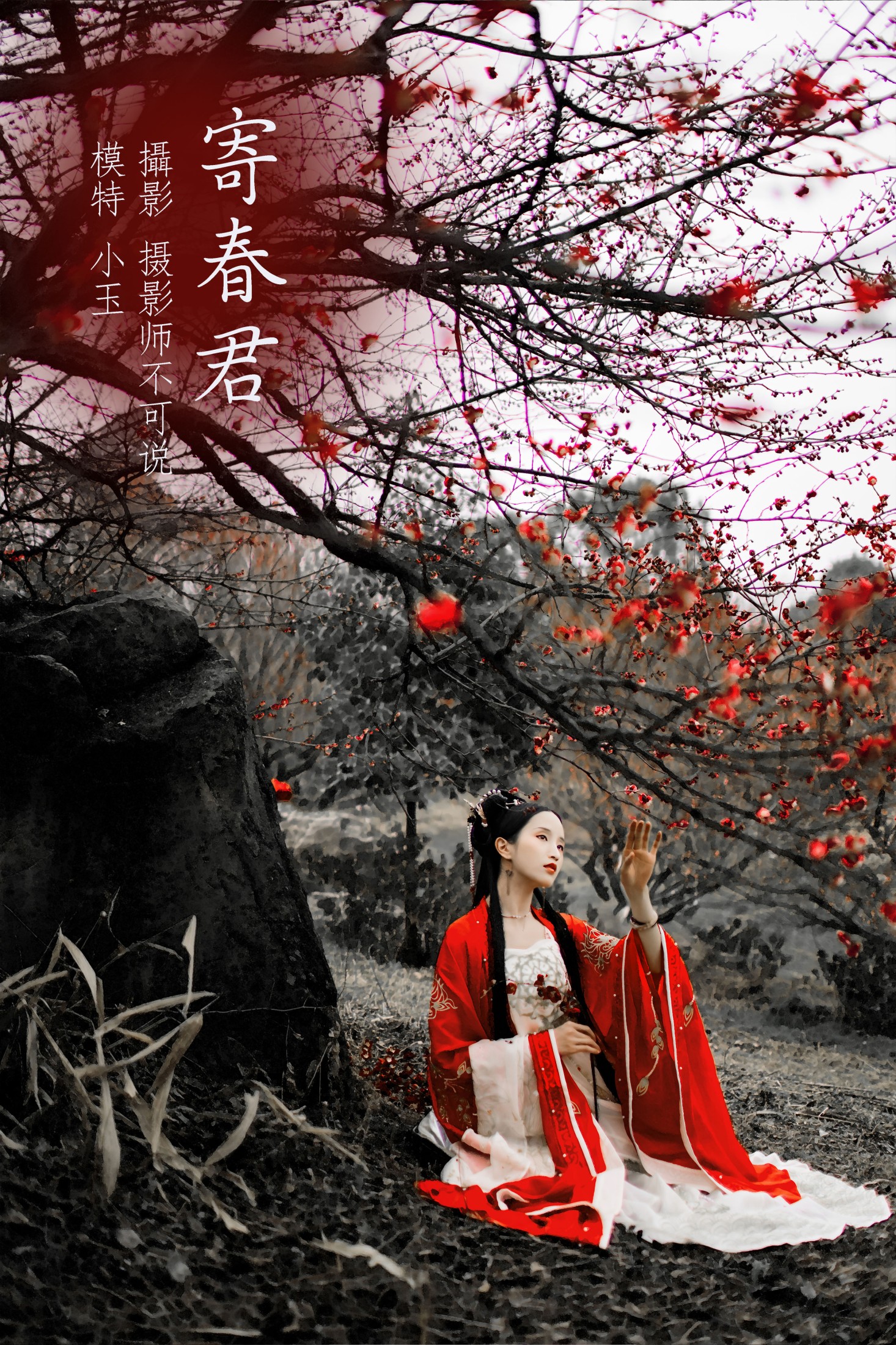 寄春君