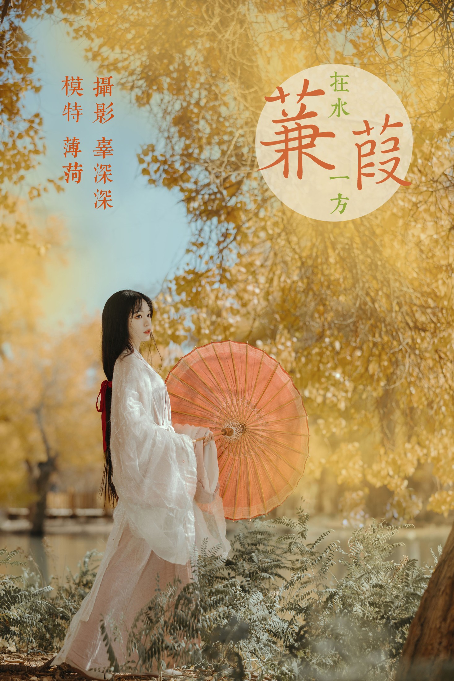 蒹葭