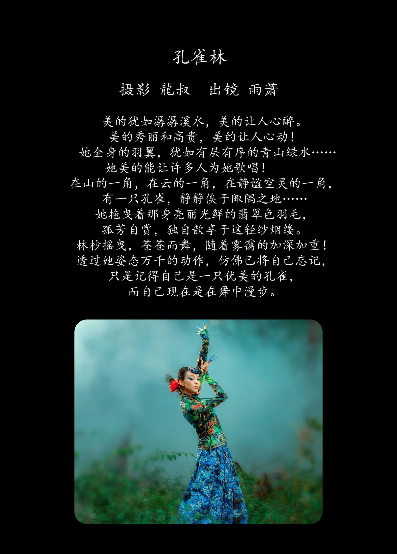 雨萧 – 《孔雀林》[32P]