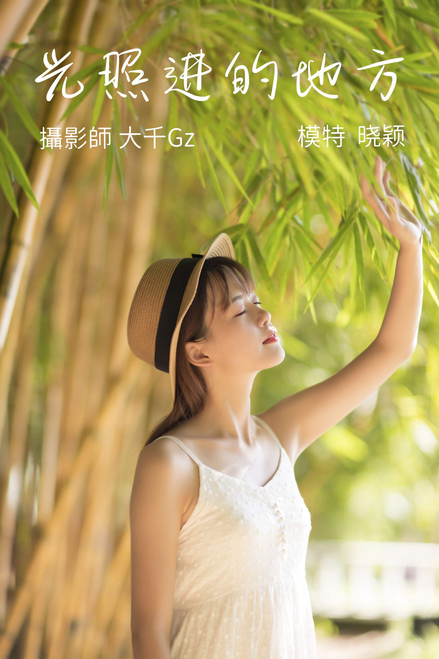 光照进的地方