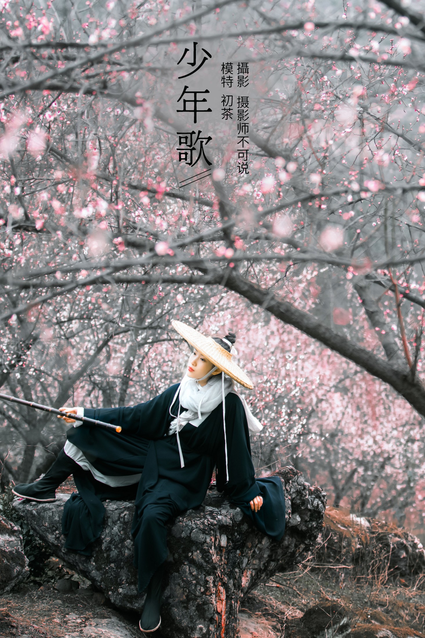 少年歌