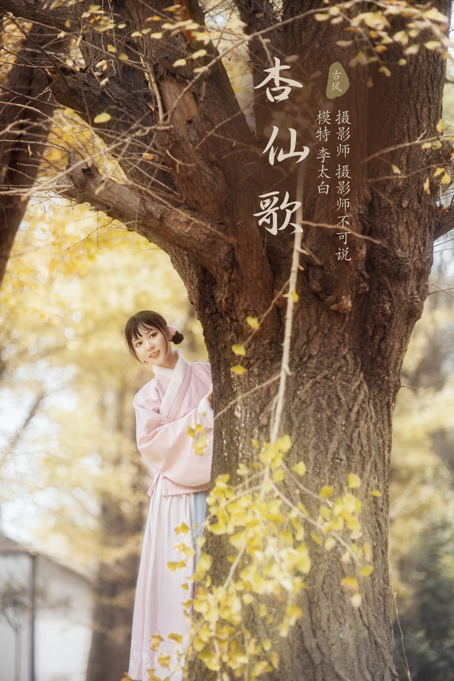 杏仙歌