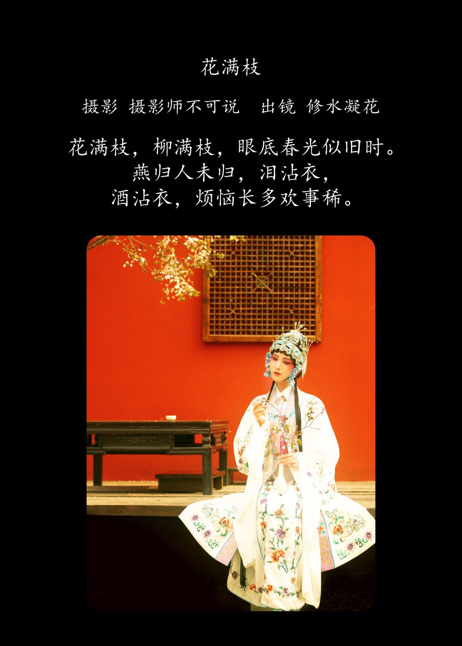 修水凝花 – 《花满枝》[23P]