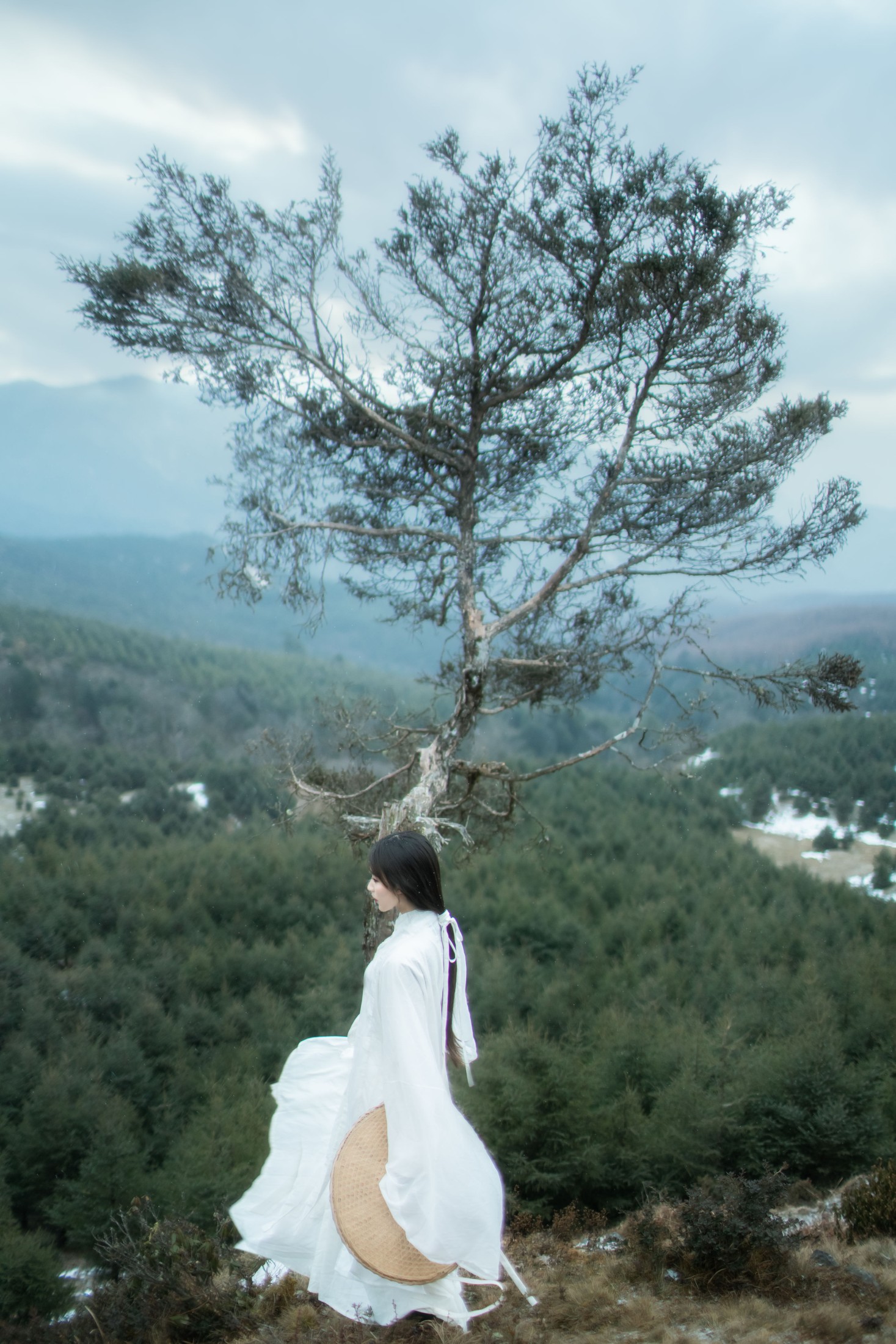 酒里 – 《千山云》[23P]