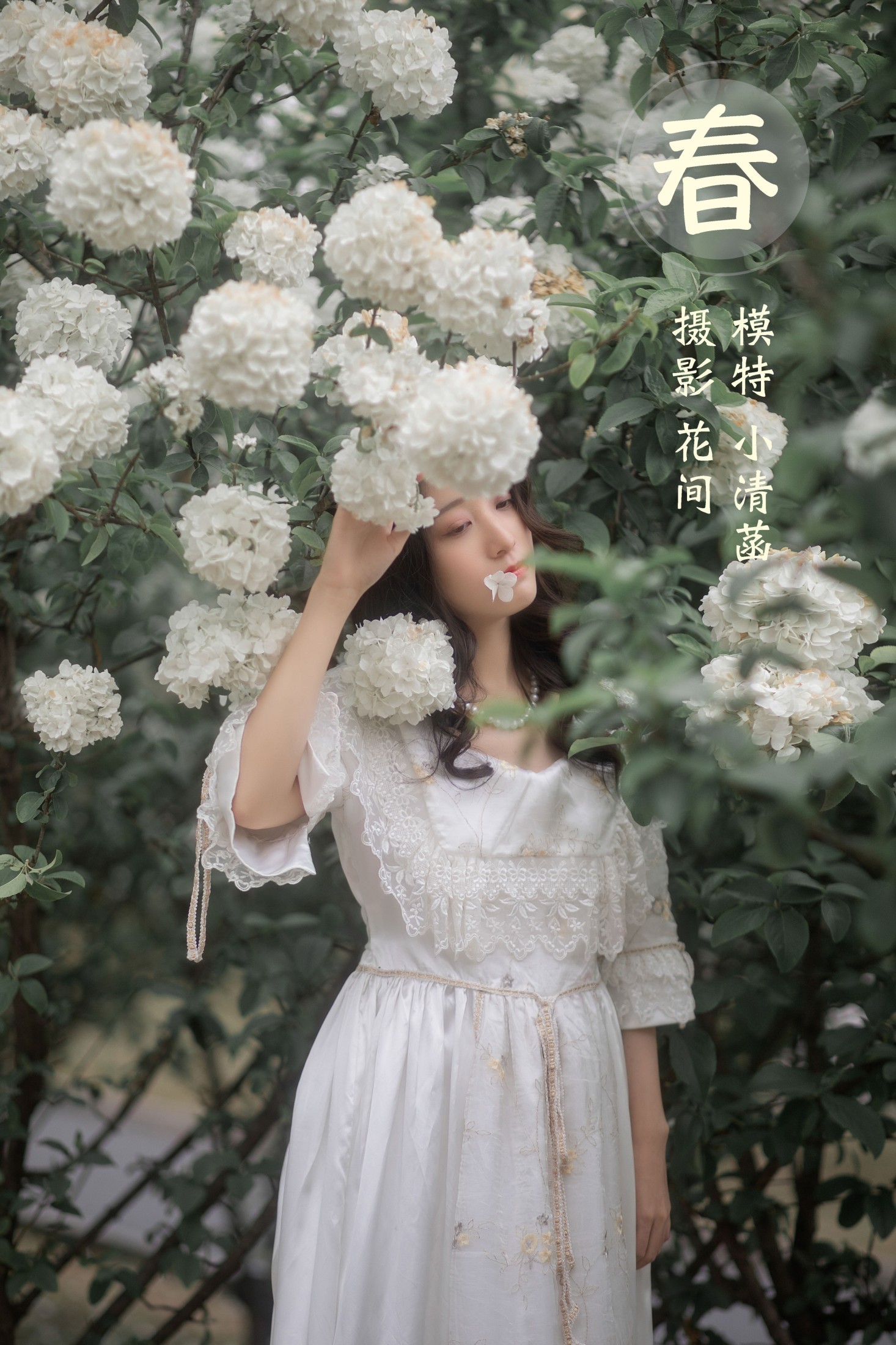 春