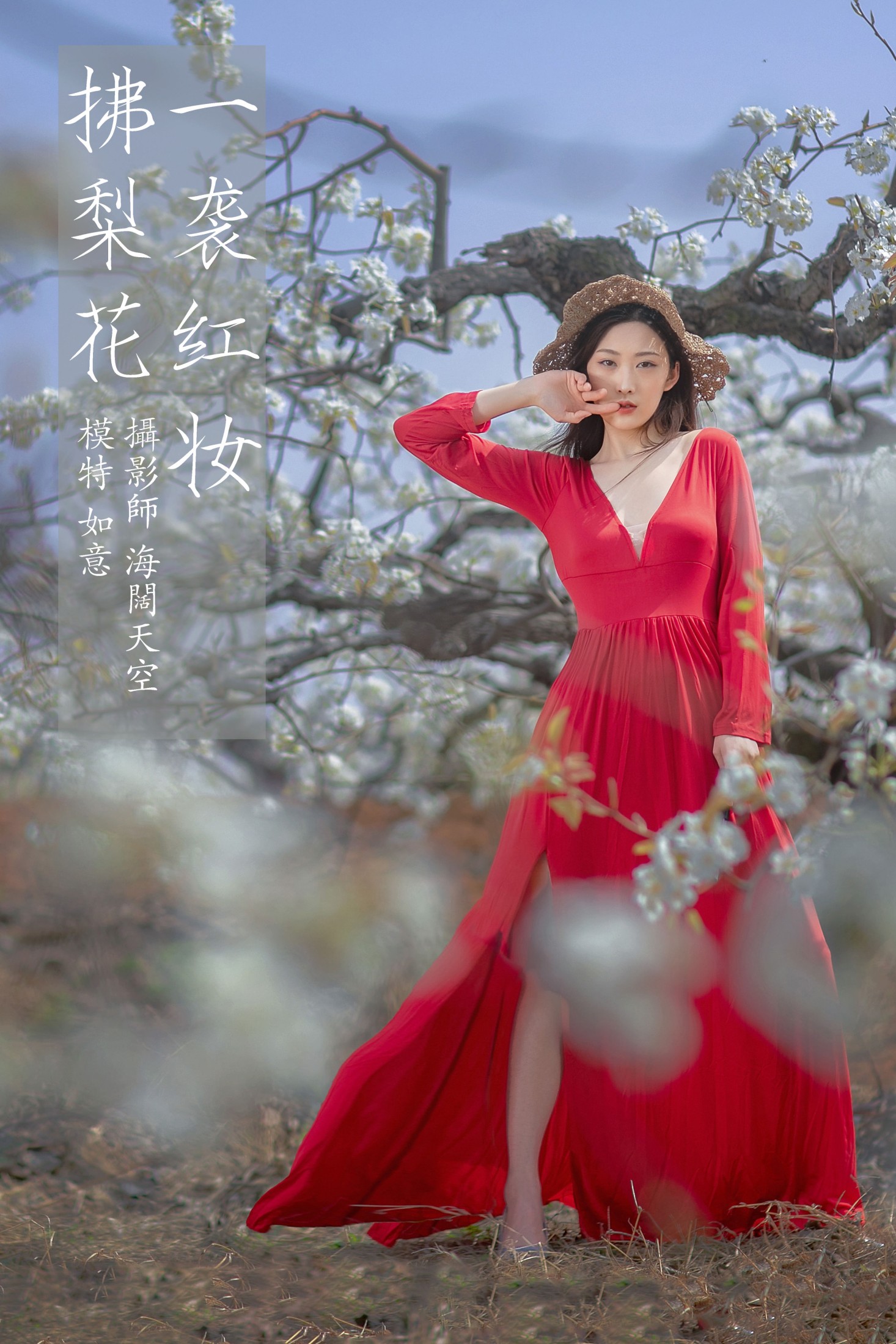 一袭红妆拂梨花