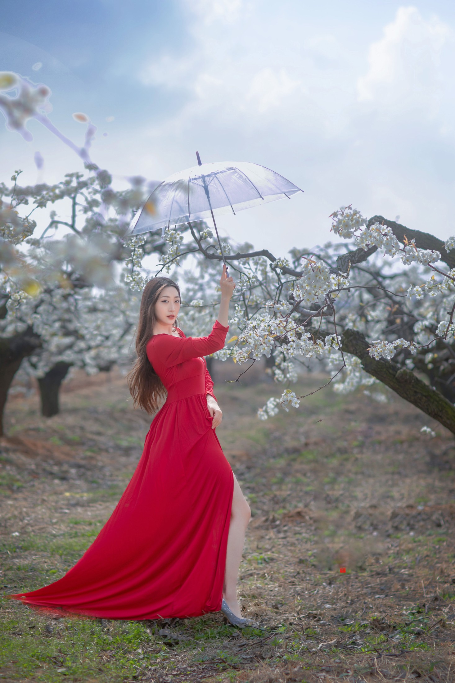 如意 – 《一袭红妆拂梨花》[32P]