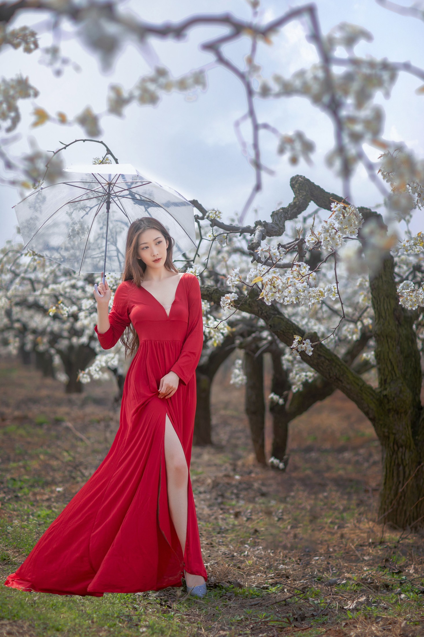如意 – 《一袭红妆拂梨花》[32P]