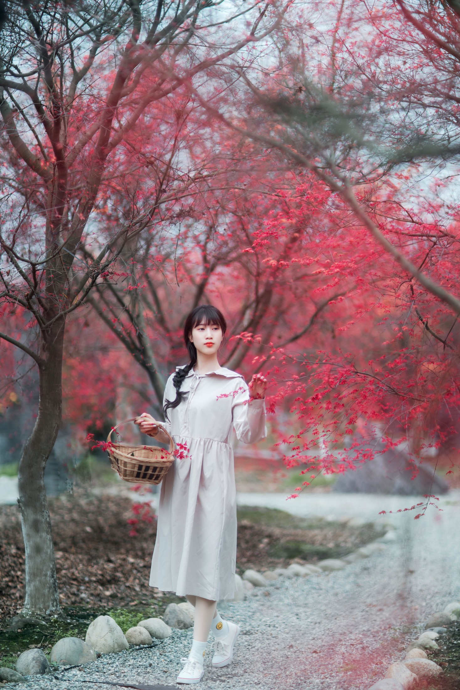 初茶 – 《枫林春晓》[39P]