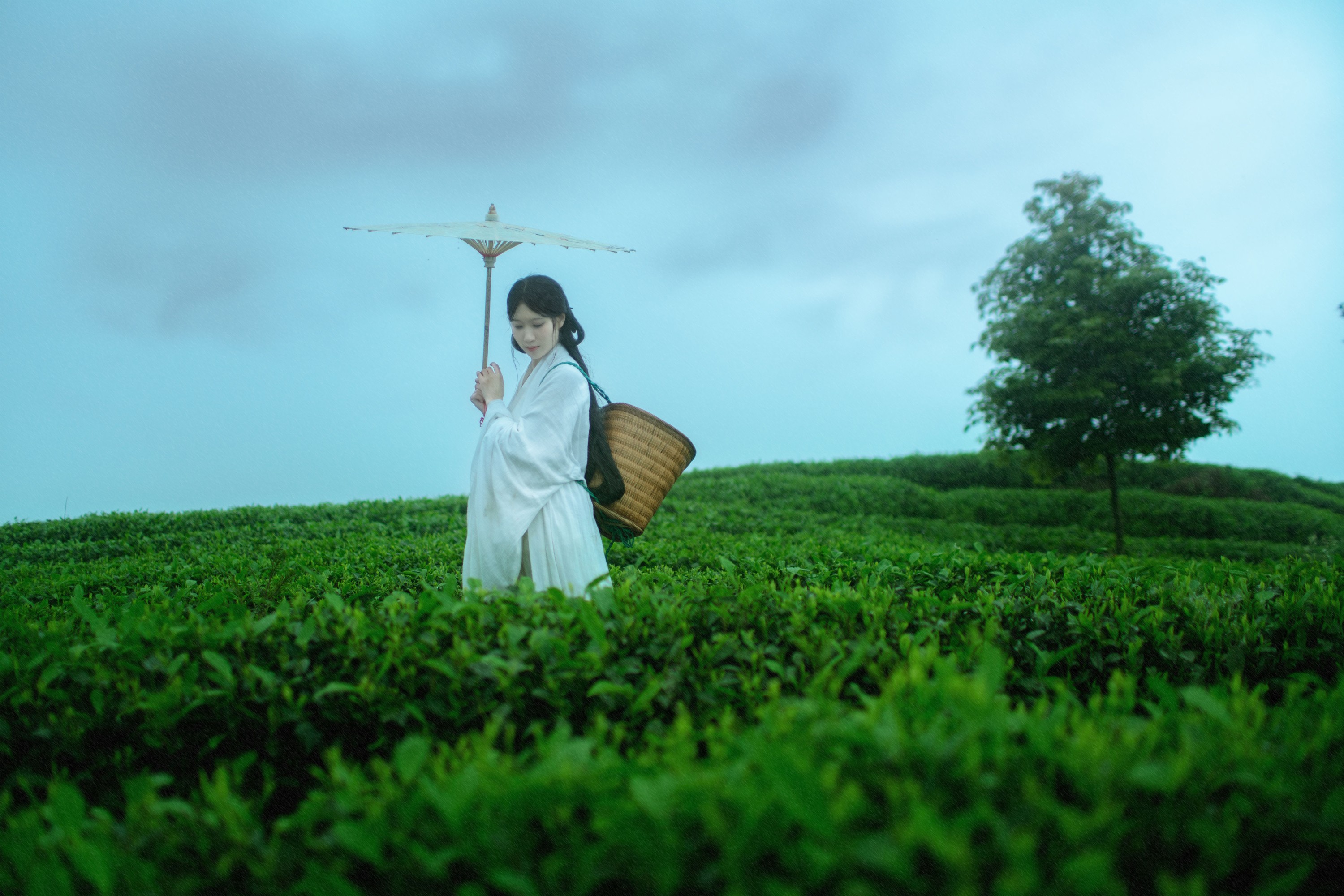初茶 – 《空山灵雨》[27P]