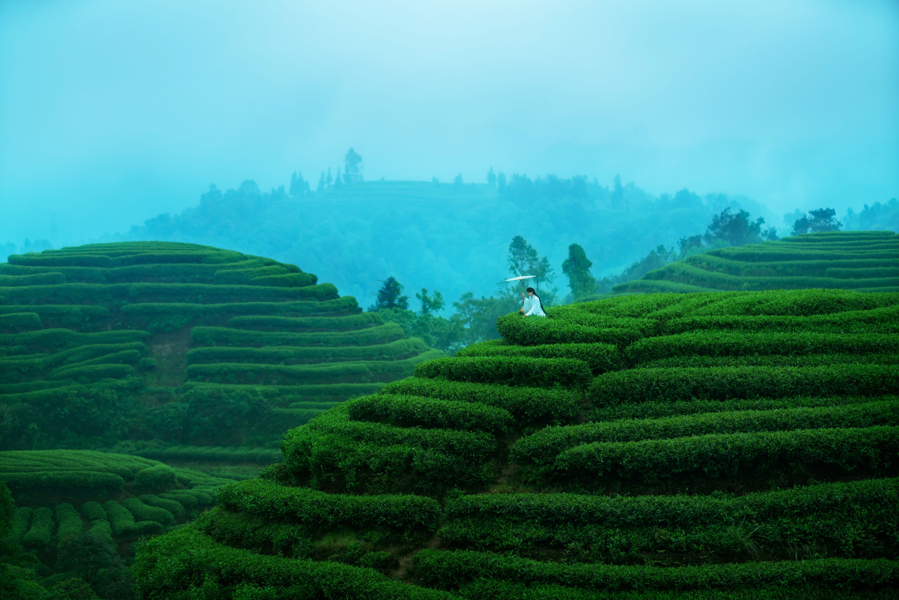 初茶 – 《空山灵雨》[27P]