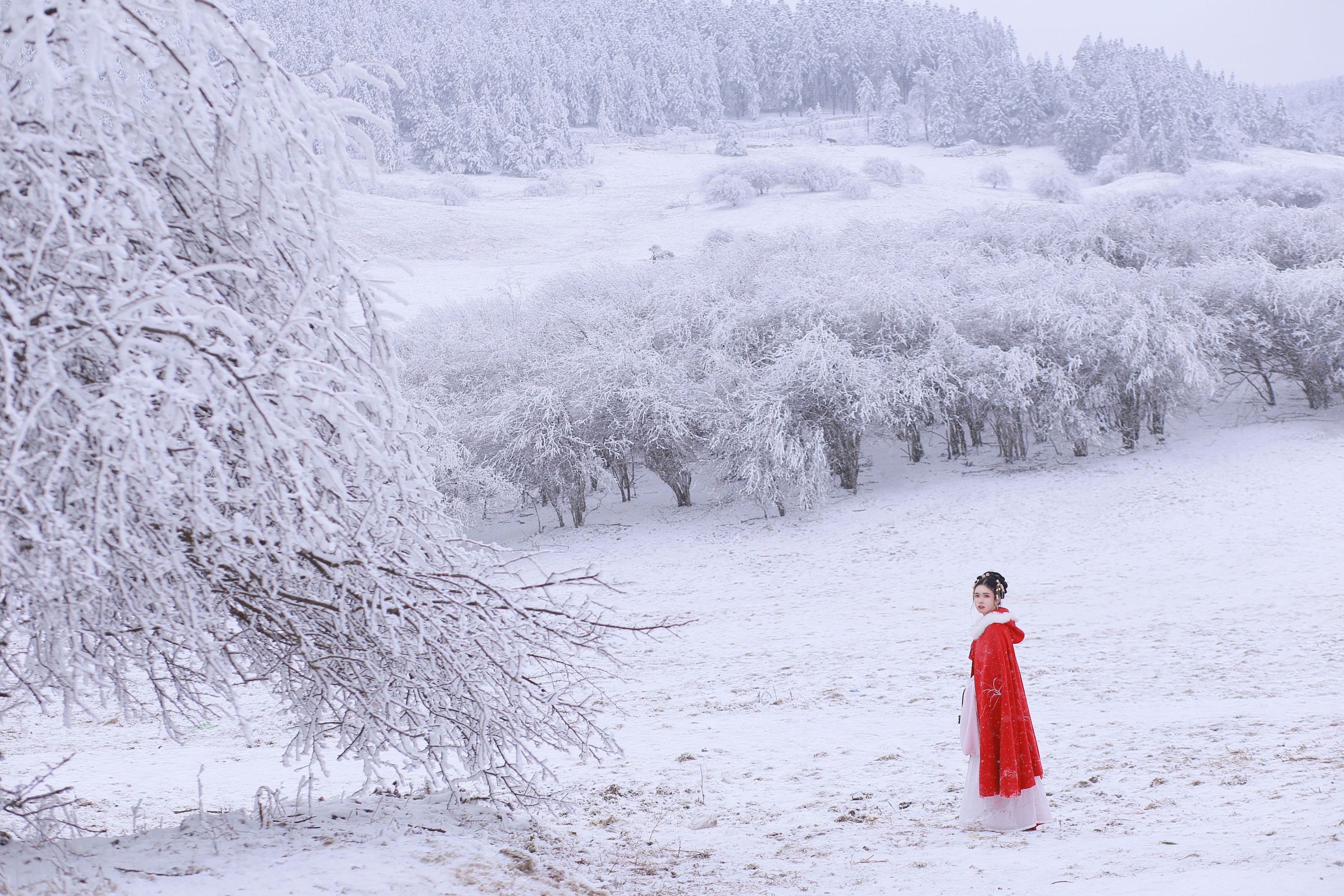 沂越 – 《大雪》[35P]