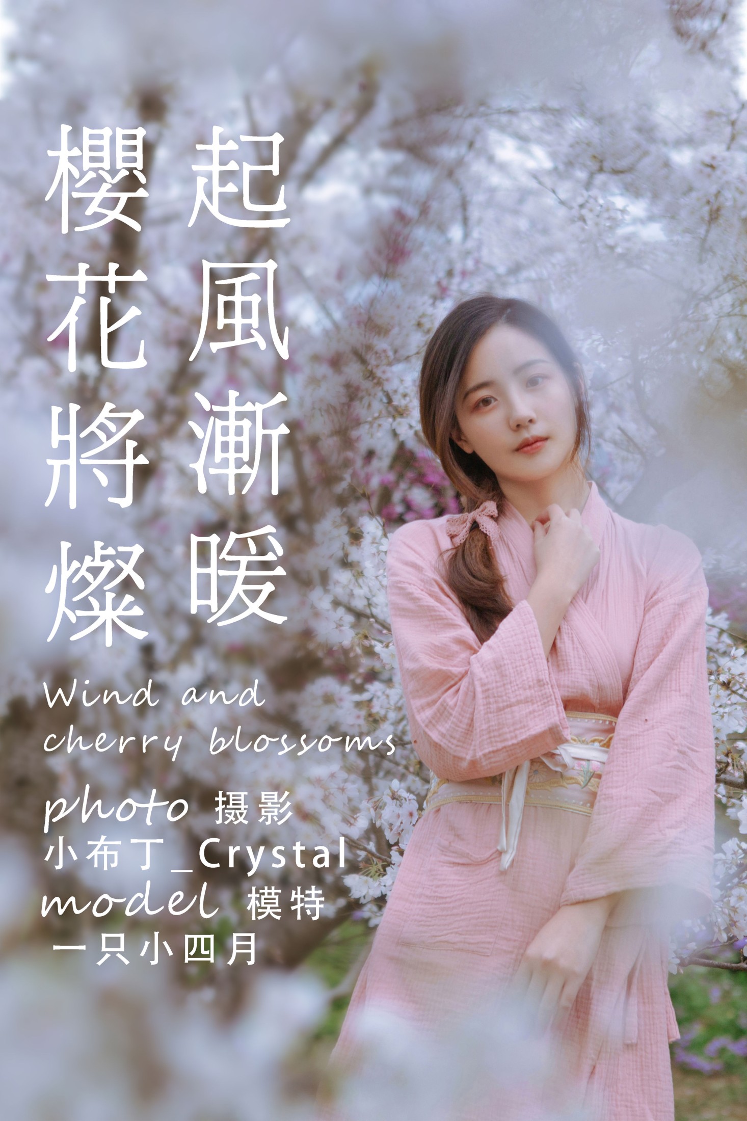 起风渐暖,樱花将灿