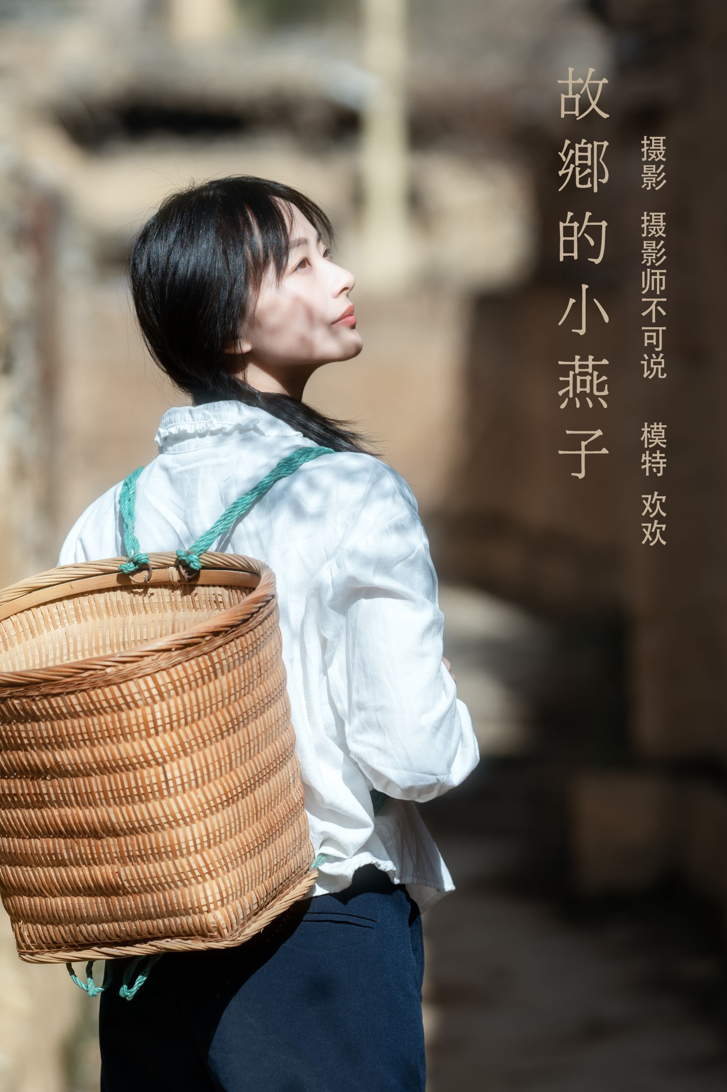 故乡的小燕子