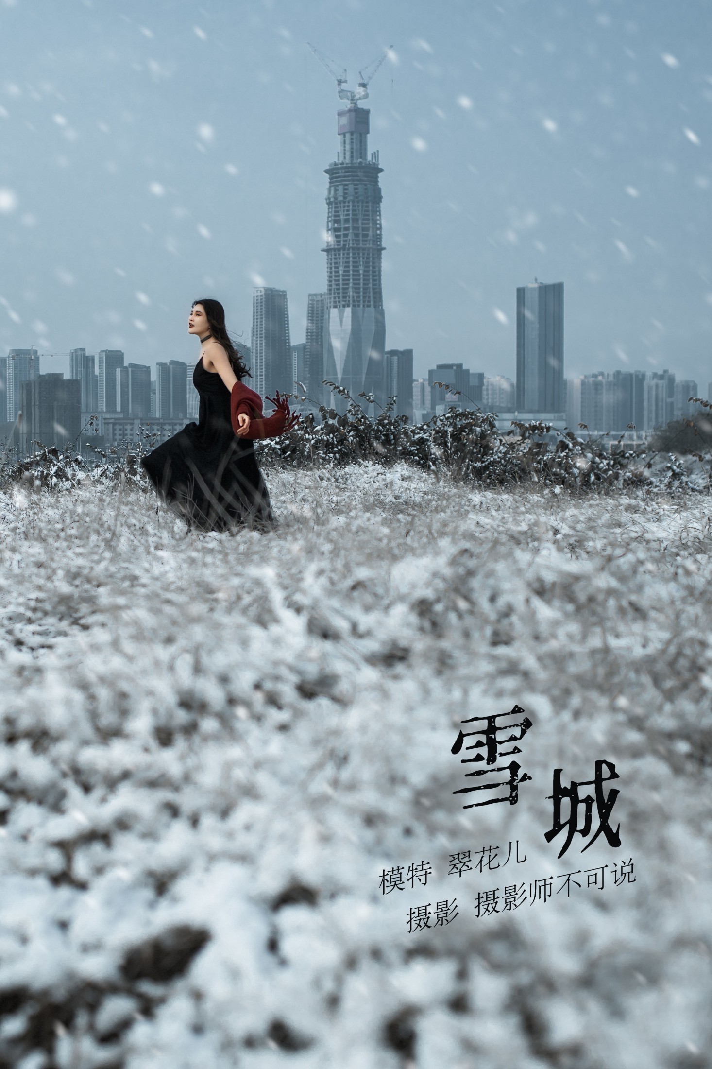 THE SNOW CITY