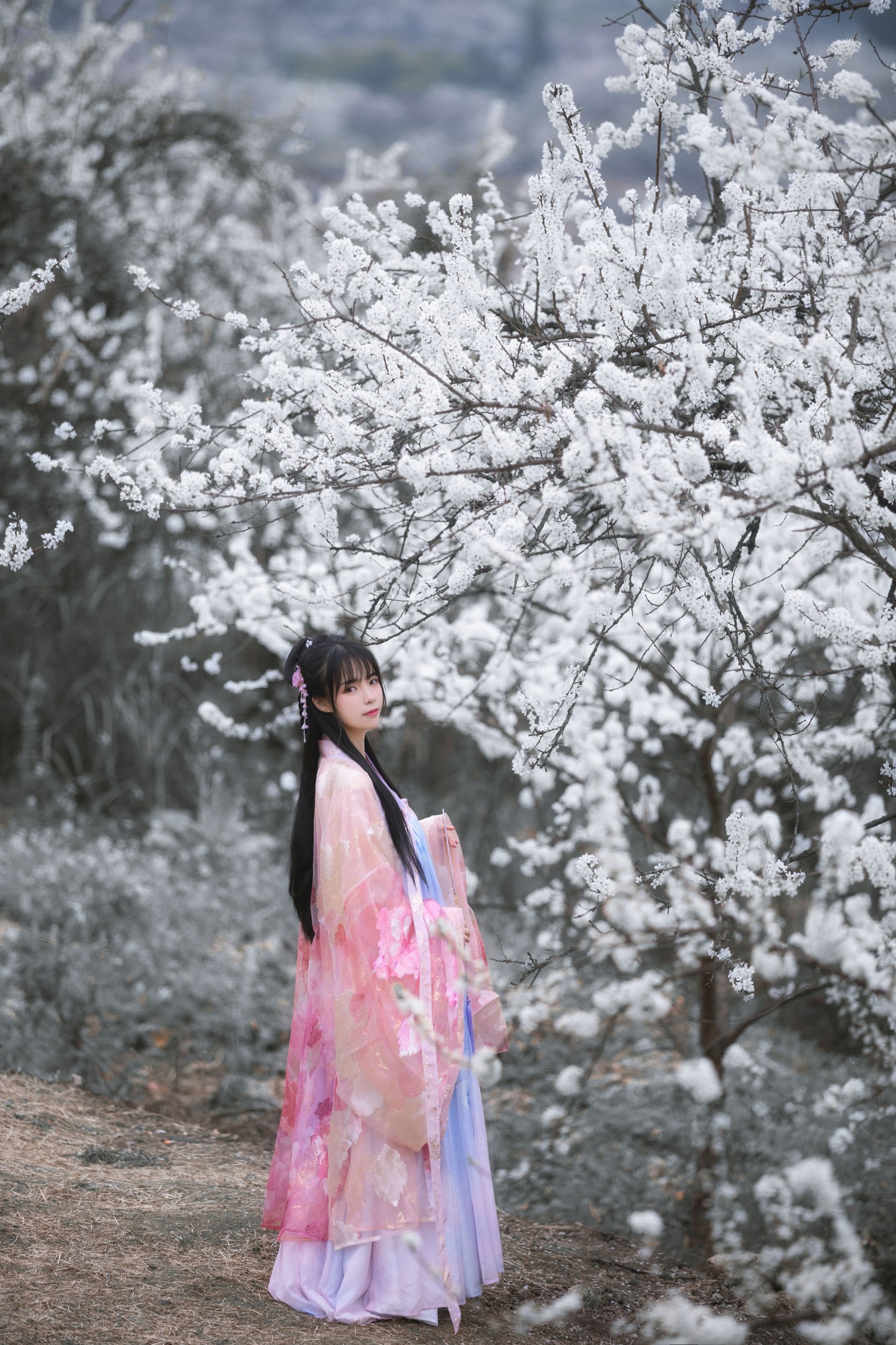 赵瑞洁EZ_ – 《杏花弦外雨》[23P]