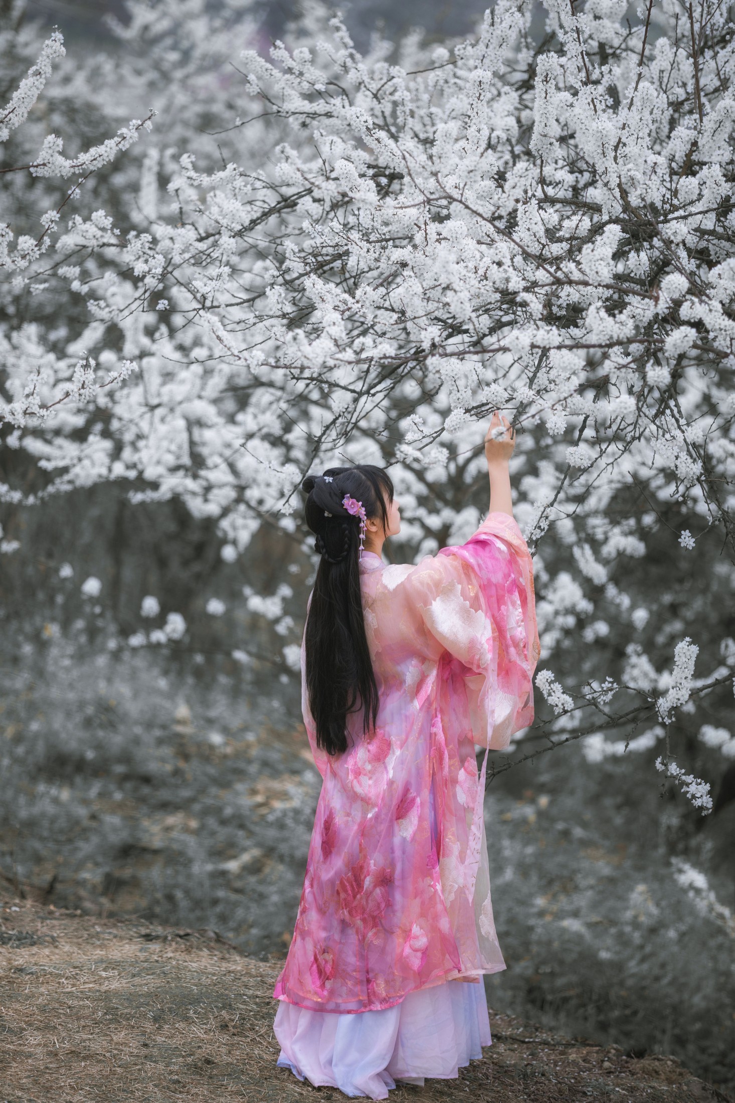 赵瑞洁EZ_ – 《杏花弦外雨》[23P]
