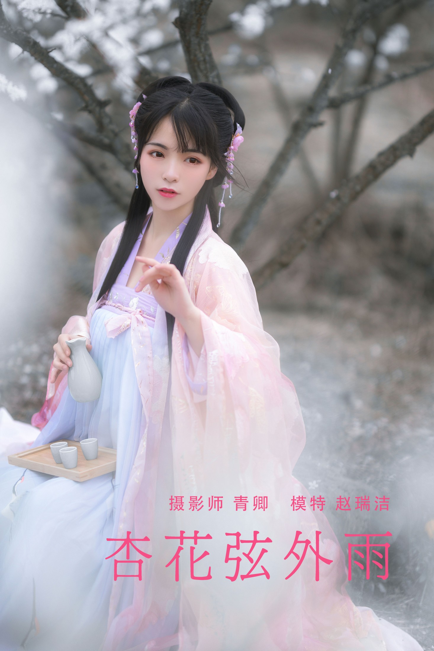 杏花弦外雨
