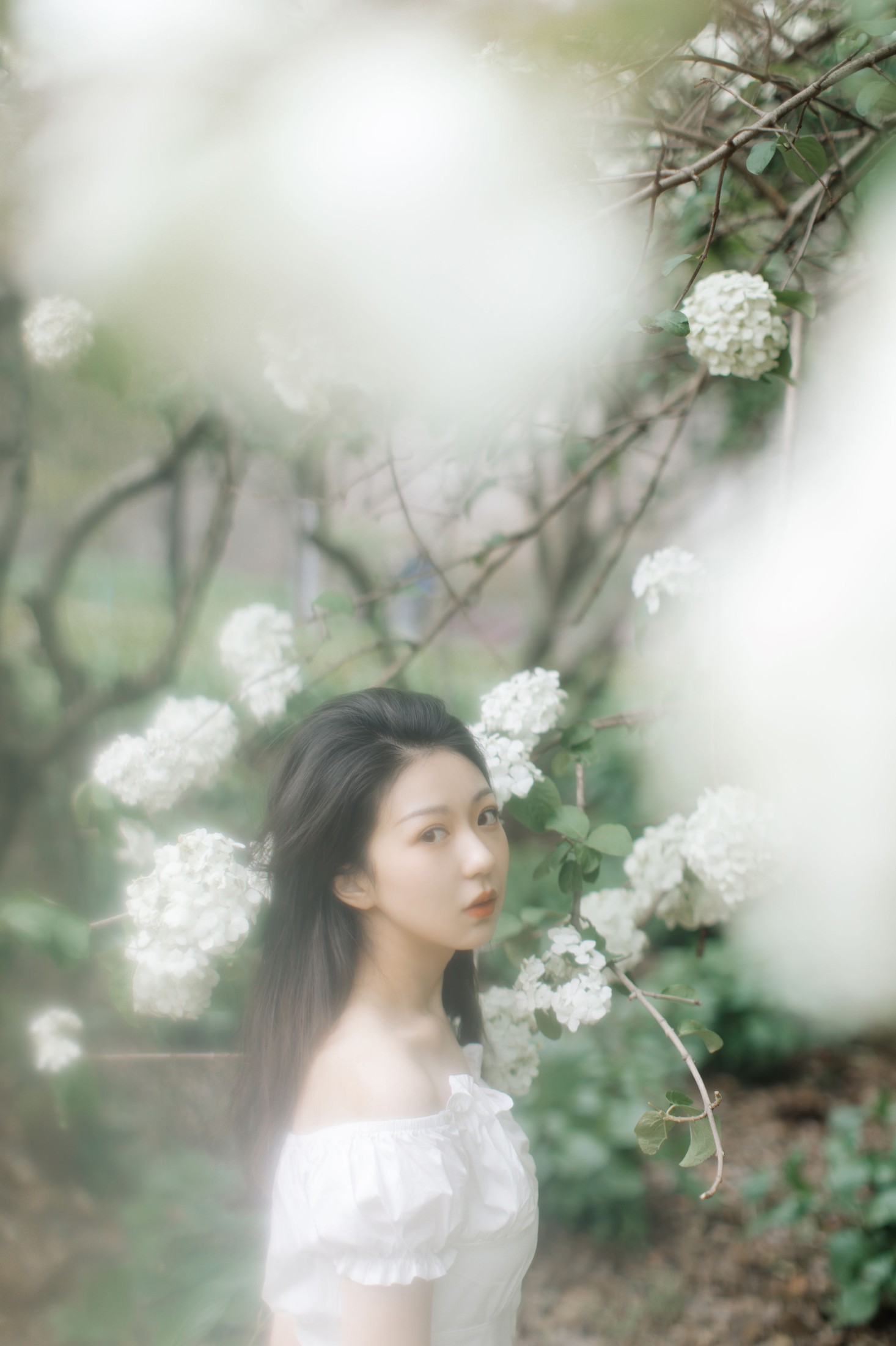 小汤姆 – 《绣球花开》[22P]