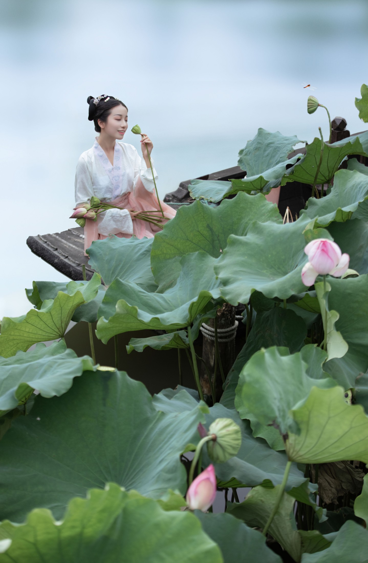 小清菡呀  – 《采荷》[20P]