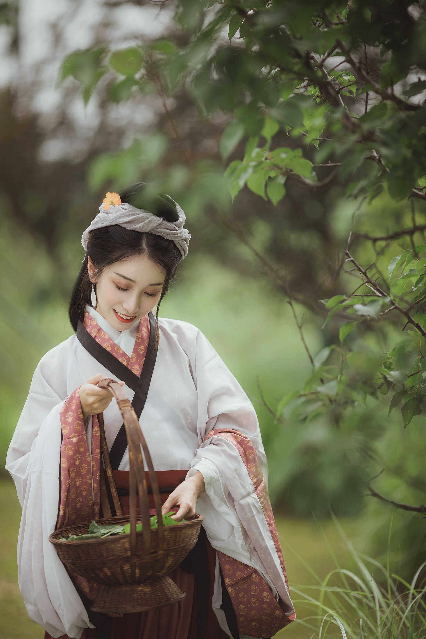 小清菡呀  – 《罗敷》[26P]