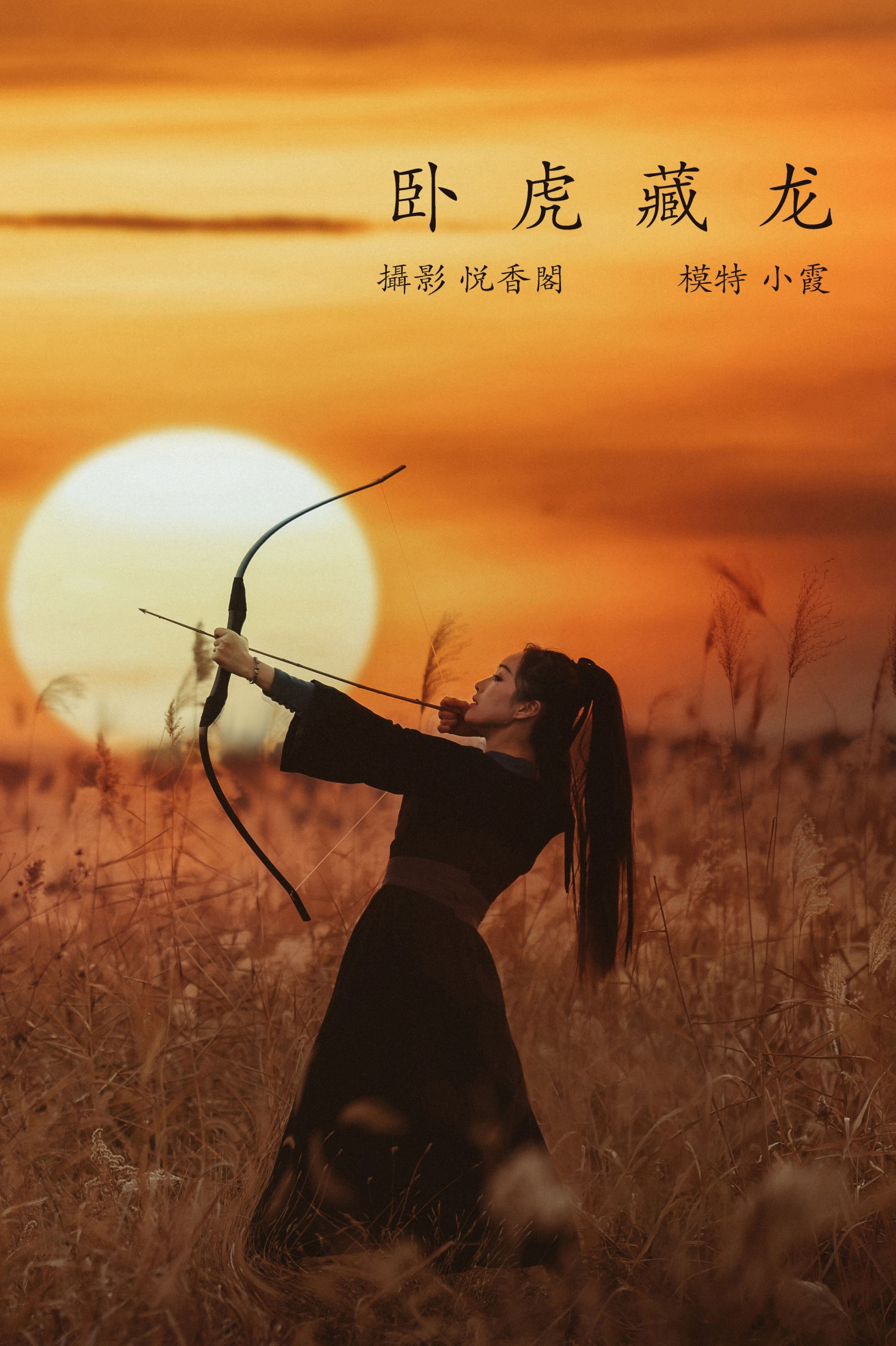 卧虎藏龙