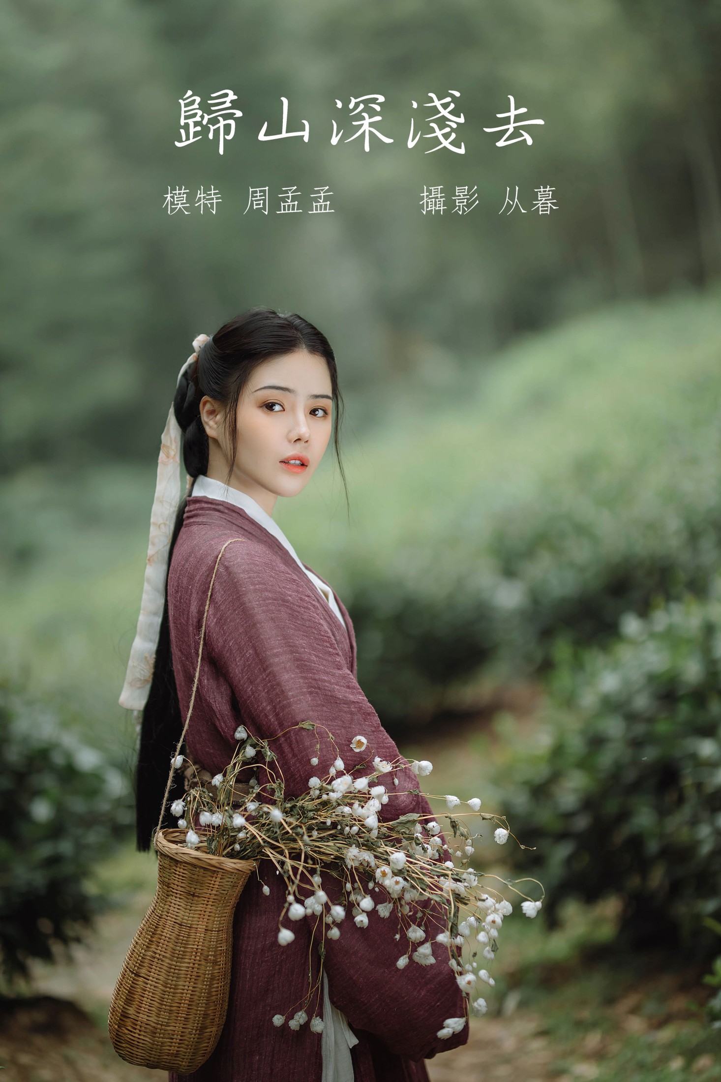 归山深浅去
