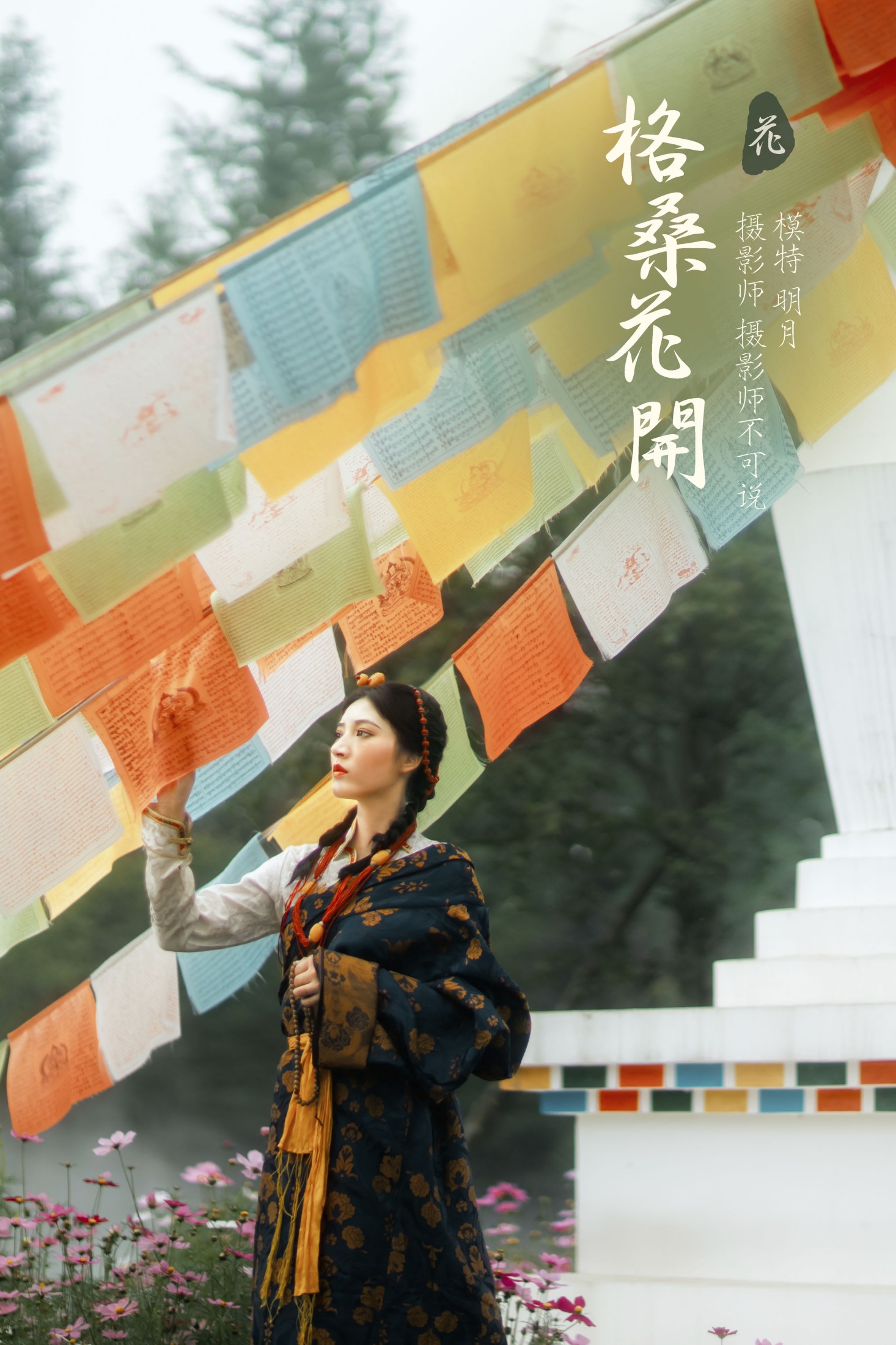 格桑花开