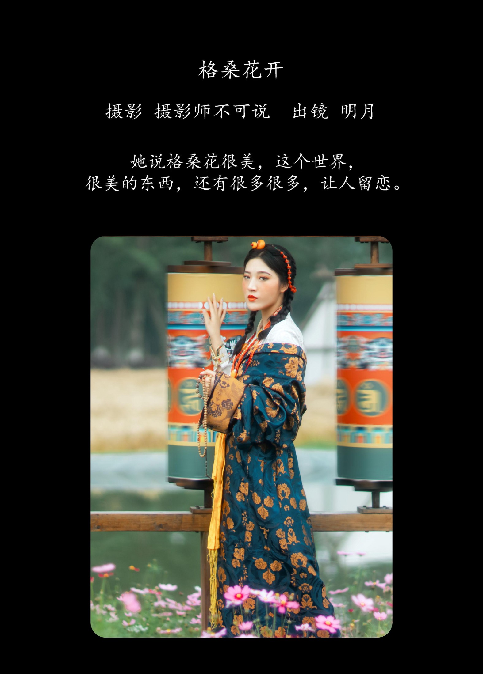 明月 – 《格桑花开》[36P]