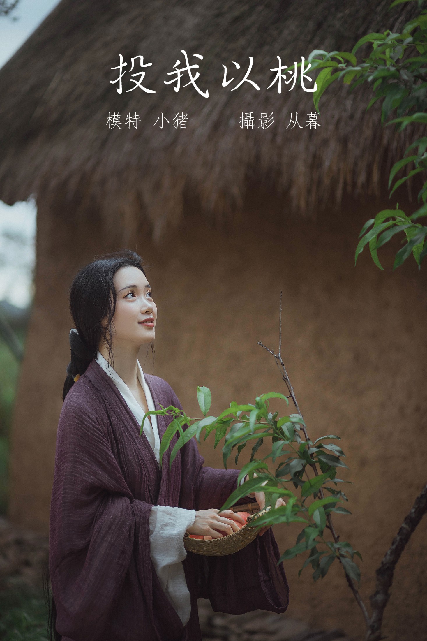 投我以桃