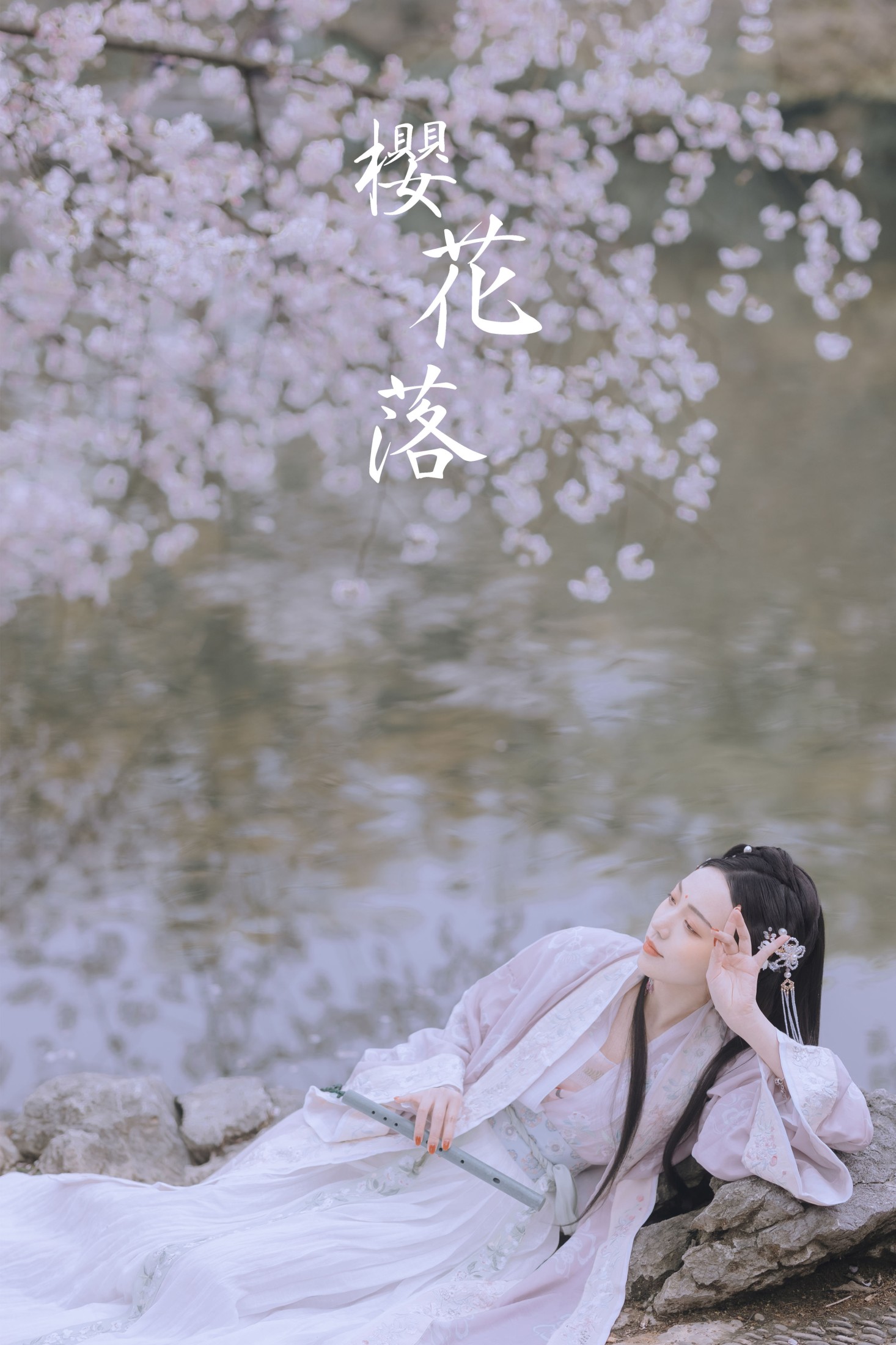 樱花落