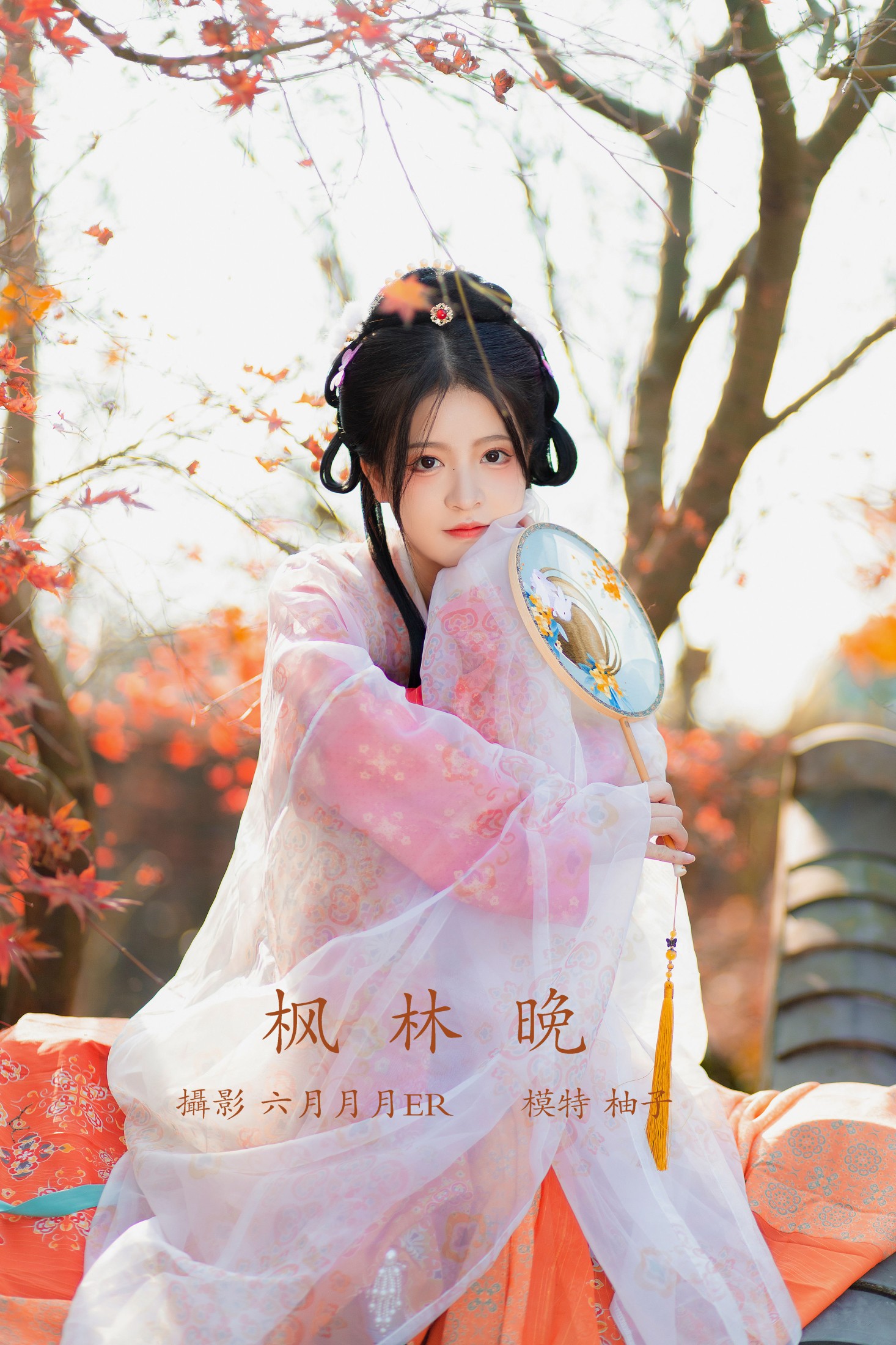 枫林晚