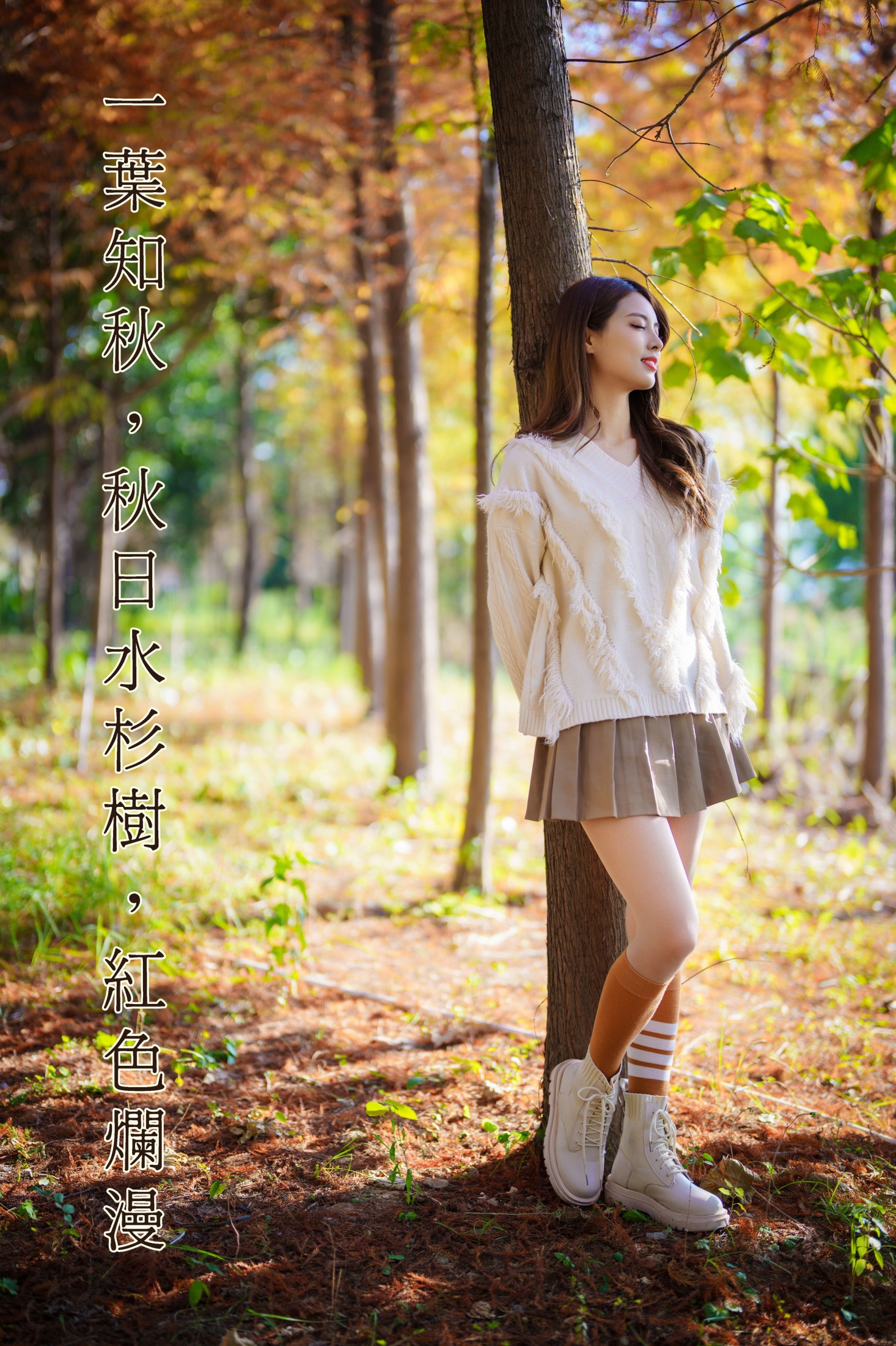 一叶知秋,秋日水杉树,红色烂漫