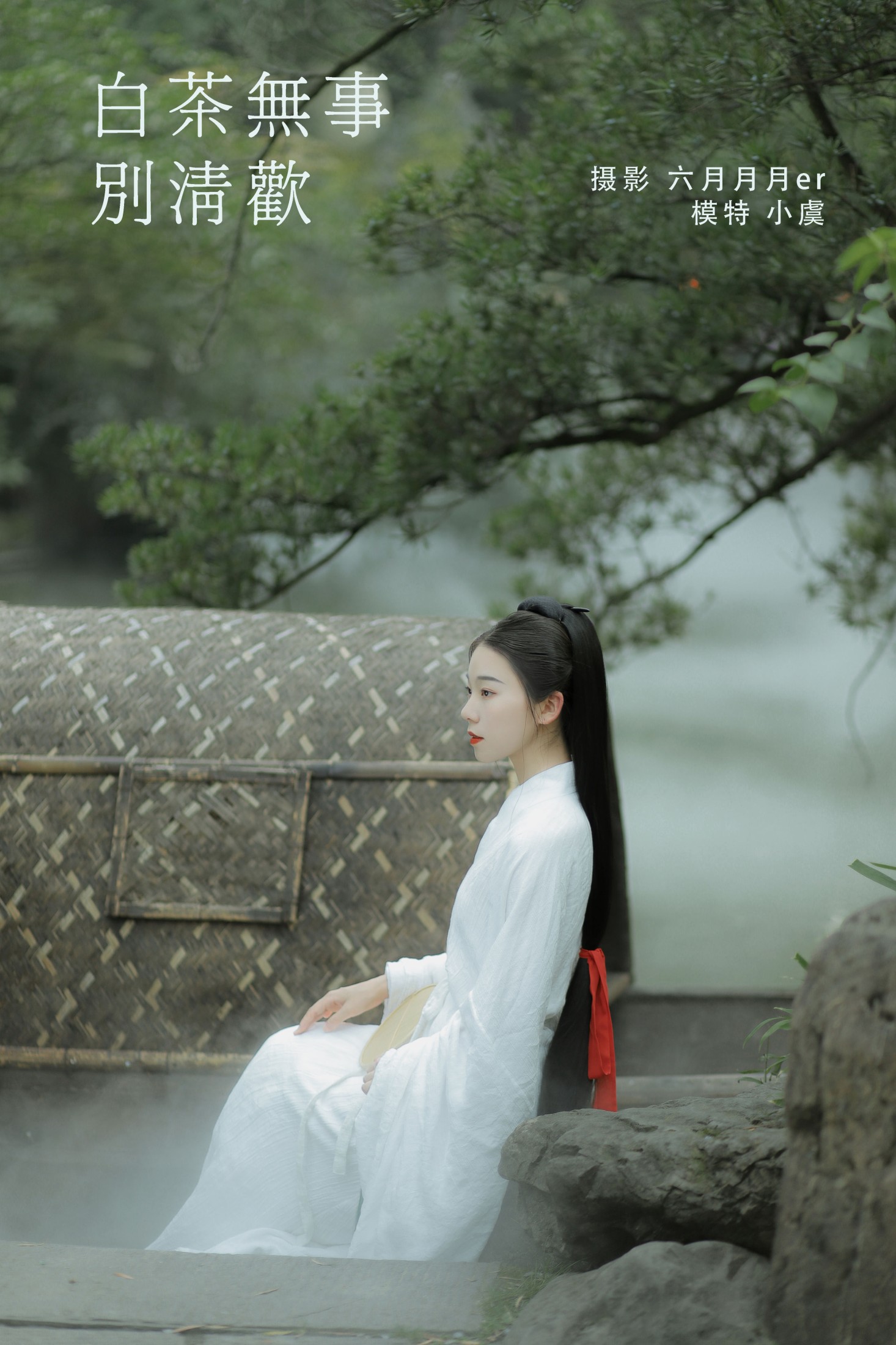 白茶无事别清欢