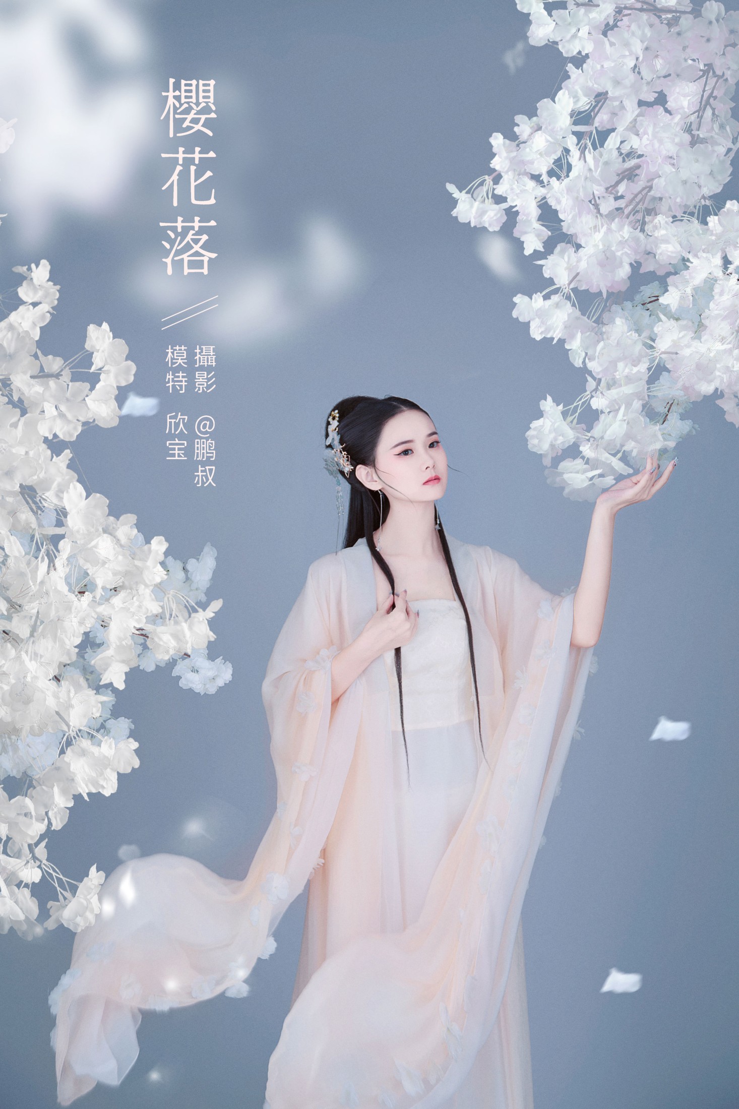 樱花落