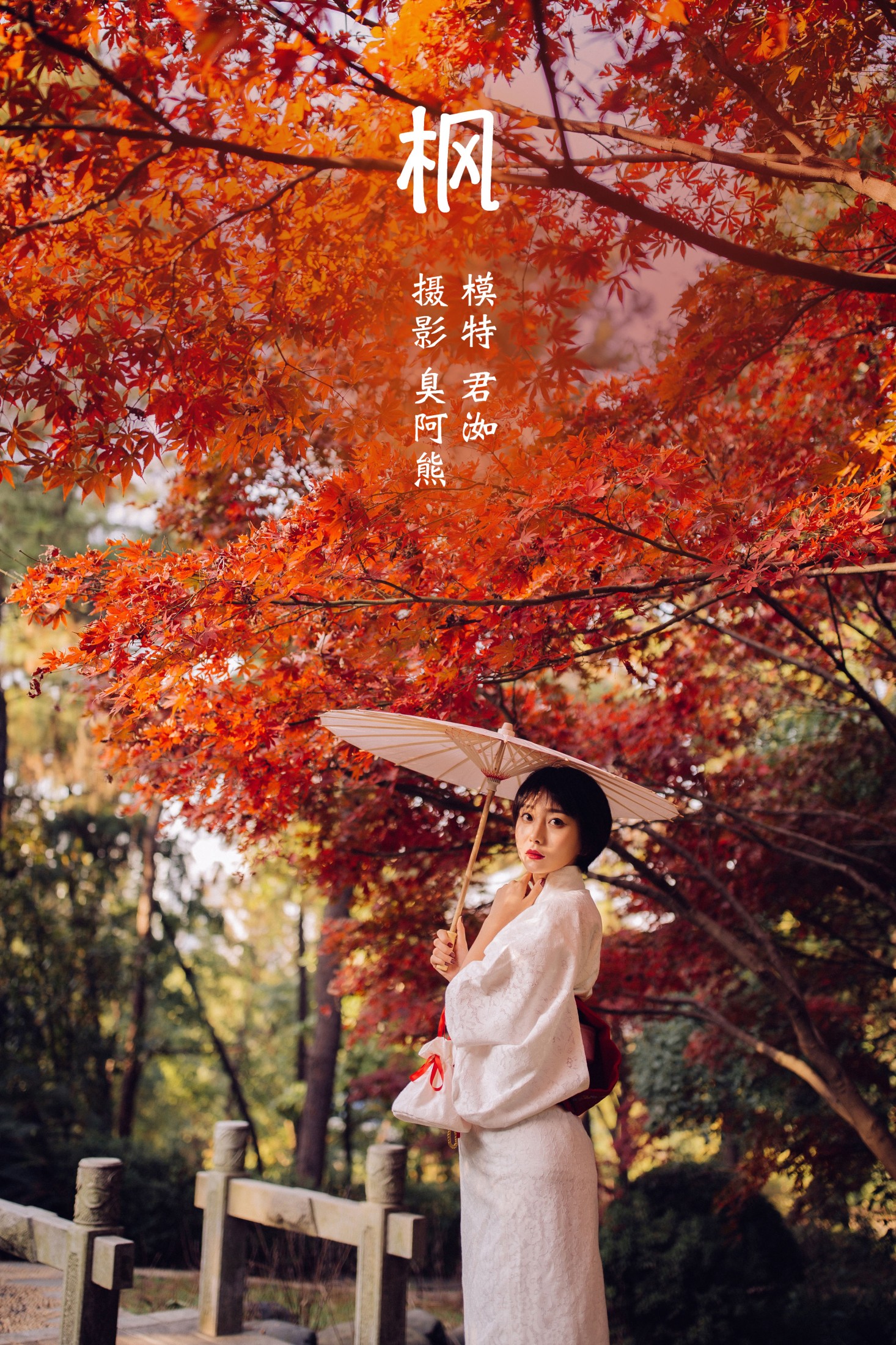枫