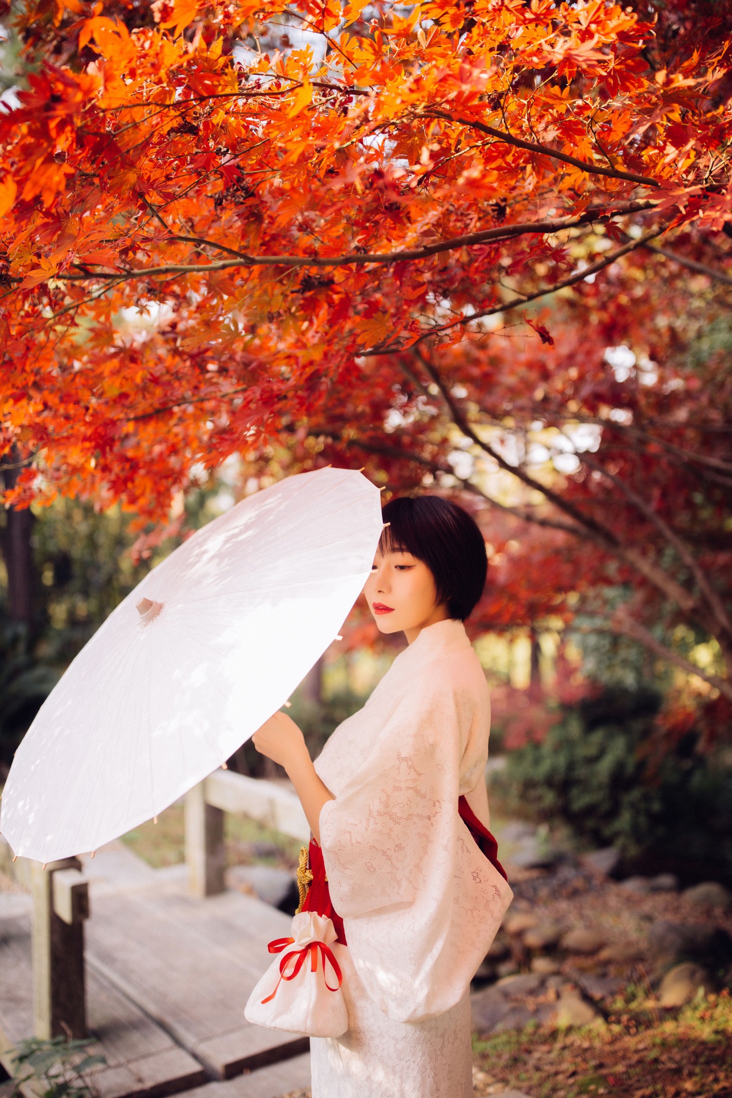 君洳 – 《枫》[47P]