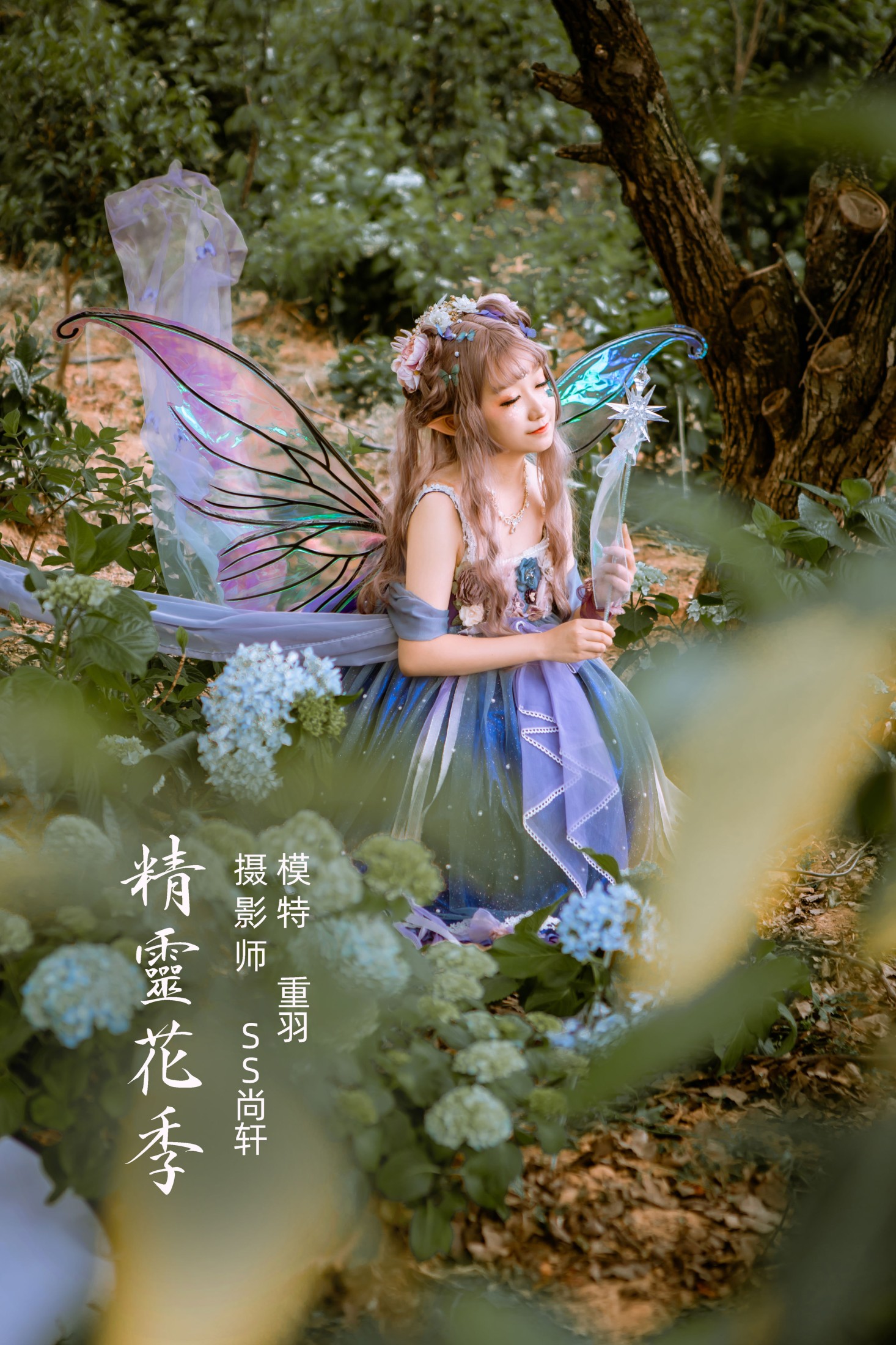 精灵花季