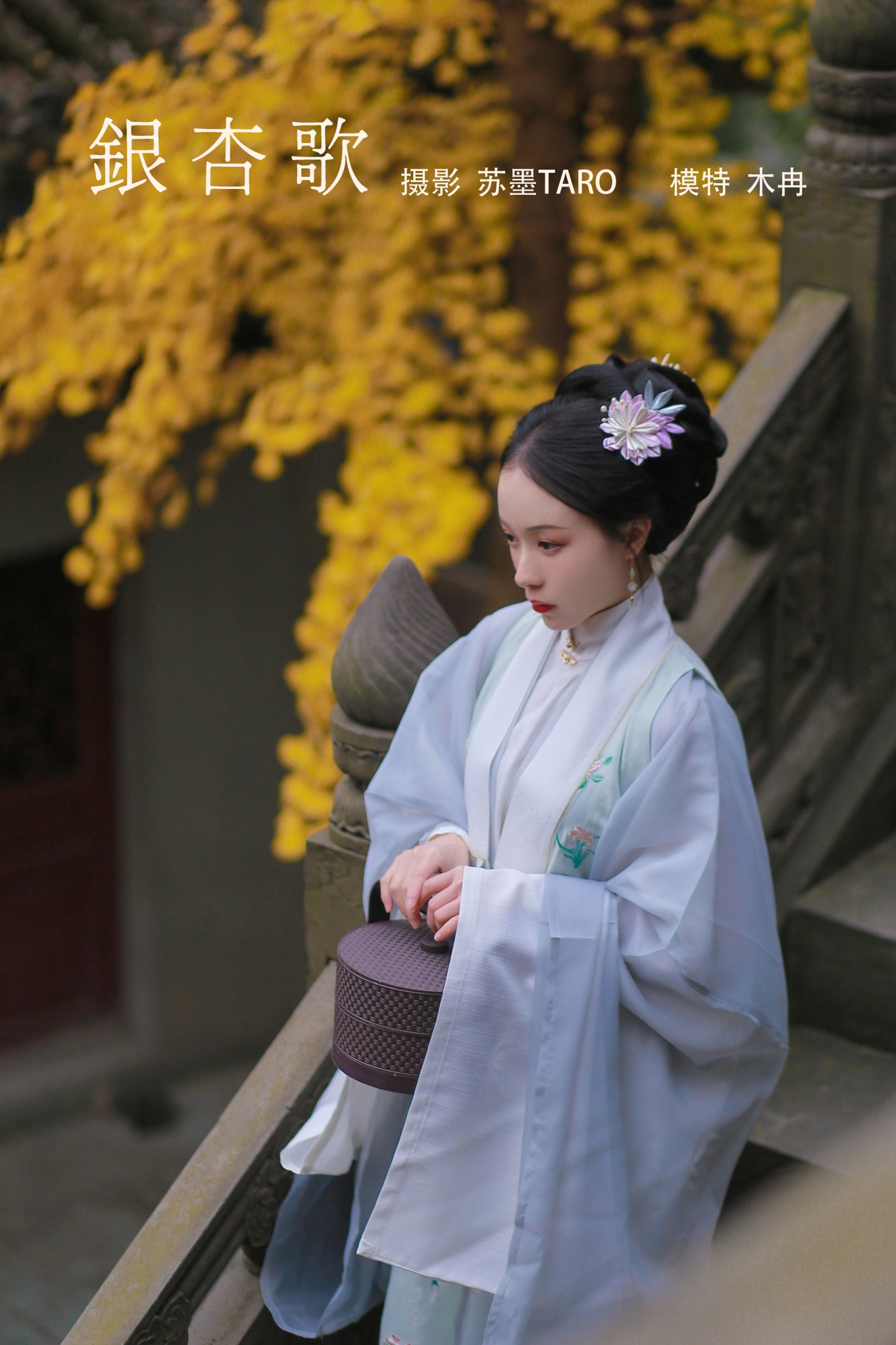 银杏歌